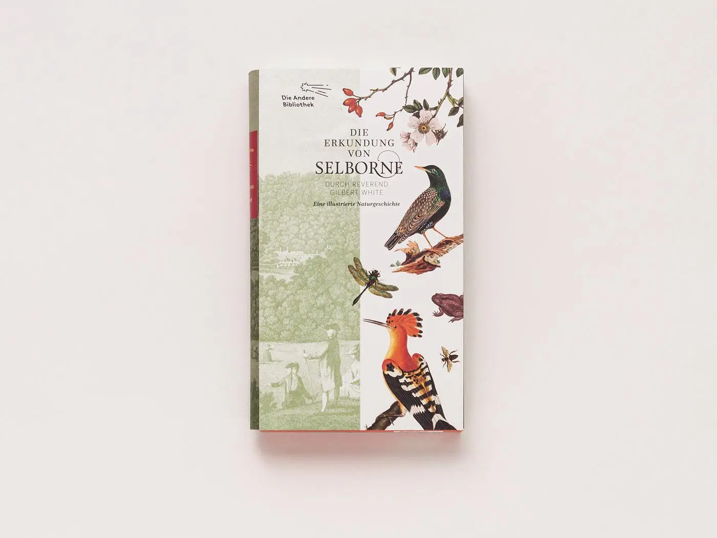 Bild: 9783847704379 | Die Erkundung von Selborne durch Reverend Gilbert White | White | Buch