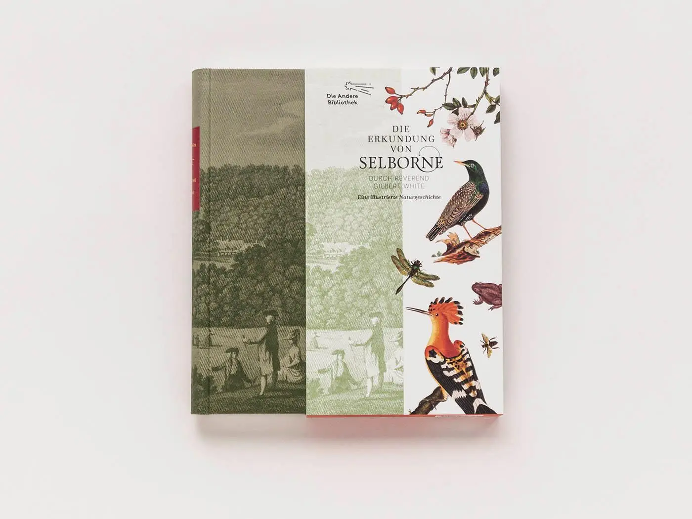 Bild: 9783847704379 | Die Erkundung von Selborne durch Reverend Gilbert White | White | Buch Bild: 9783847704379 | Die Erkundung von Selborne durch Reverend Gilbert White | White | Buch