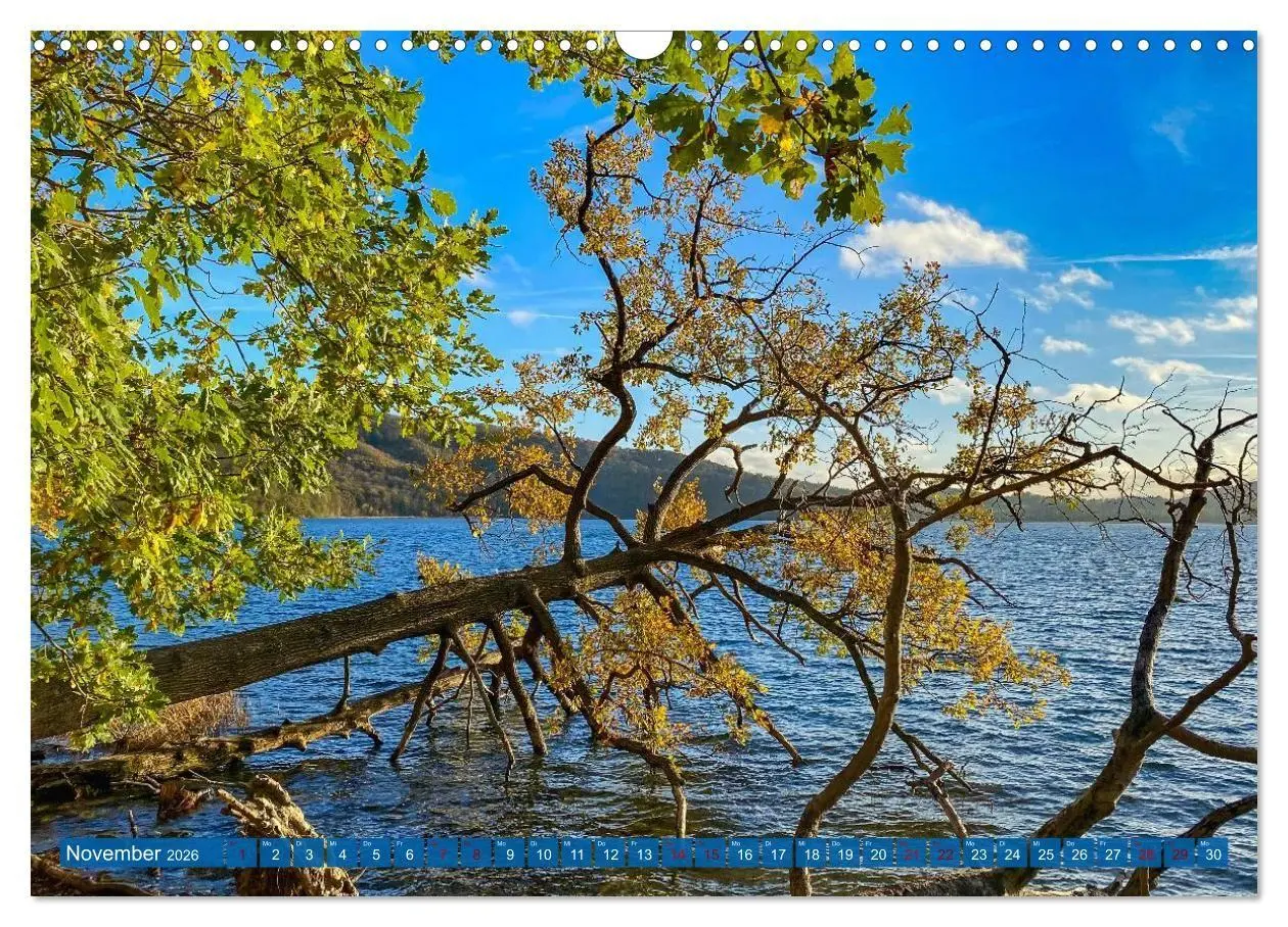 Bild: 9783516724479 | Herzlich Mayen und Umland (Wandkalender 2026 DIN A3 quer), CALVENDO...