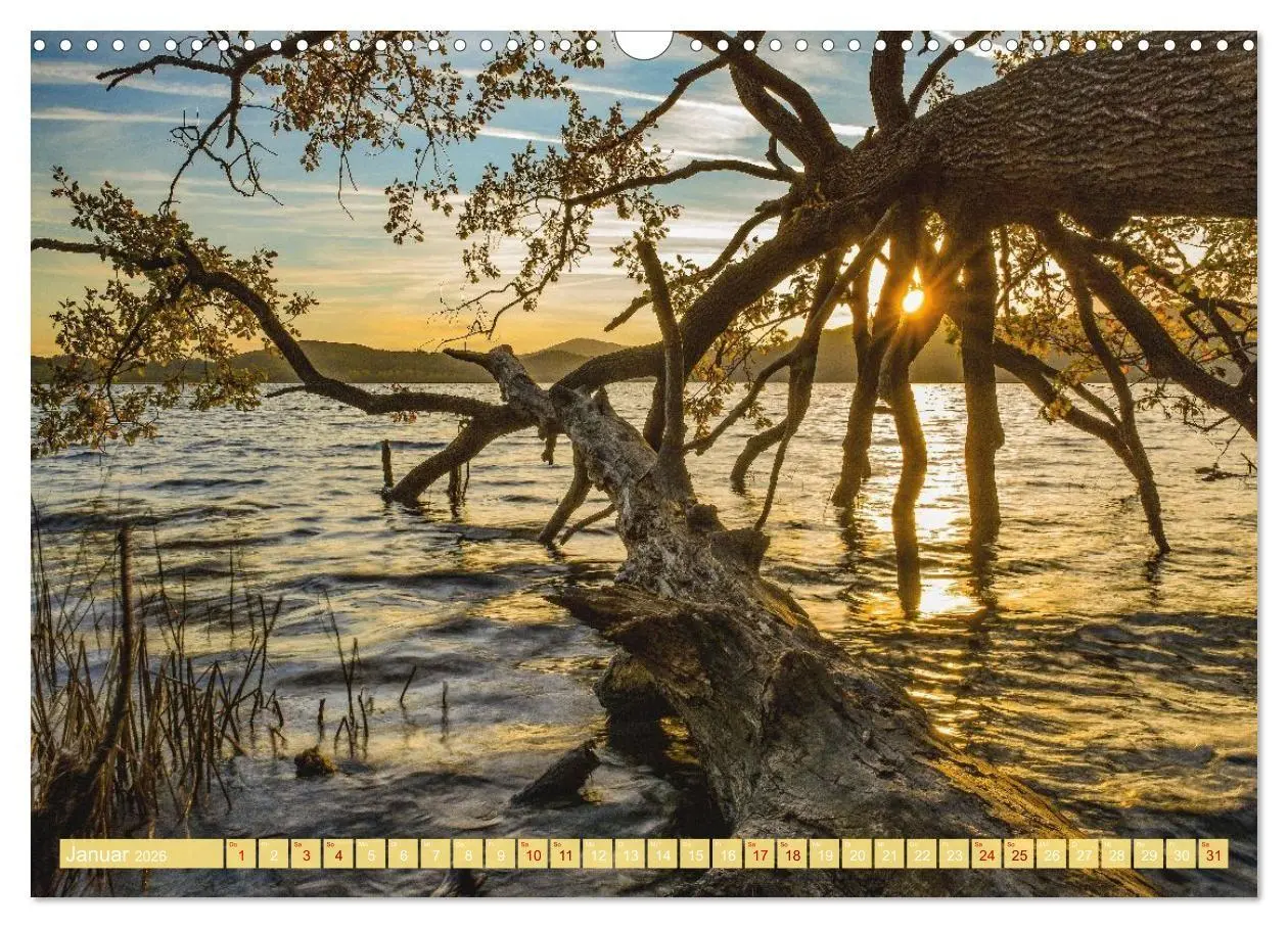 Bild: 9783516724479 | Herzlich Mayen und Umland (Wandkalender 2026 DIN A3 quer), CALVENDO...