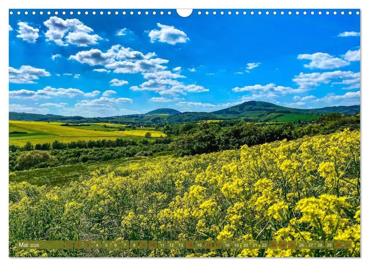 Bild: 9783516724479 | Herzlich Mayen und Umland (Wandkalender 2026 DIN A3 quer), CALVENDO...
