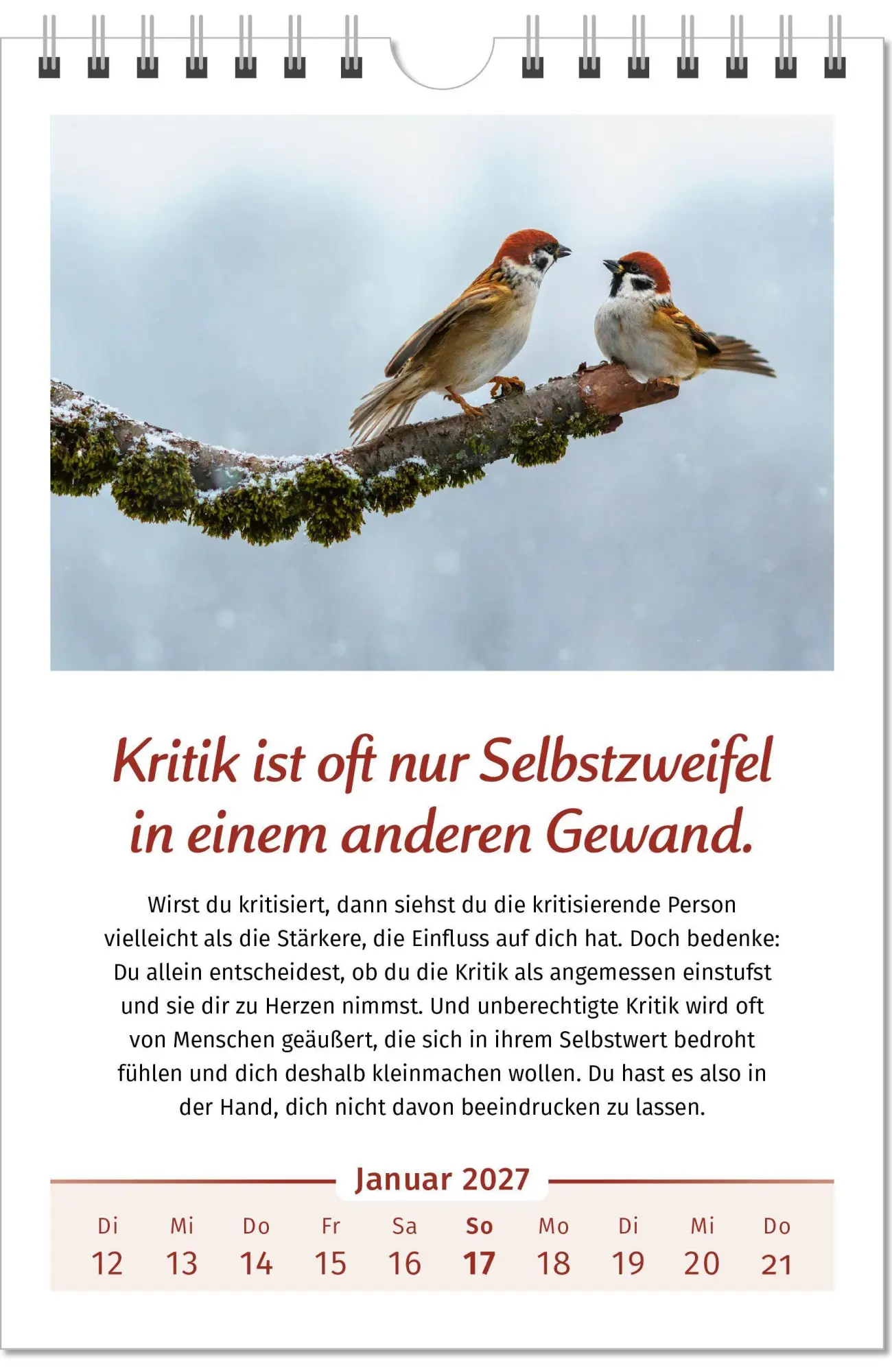 Bild: 9783910294479 | Der Lebensfreude-Kalender 2027 im Großformat | Doris Wolf (u. a.)