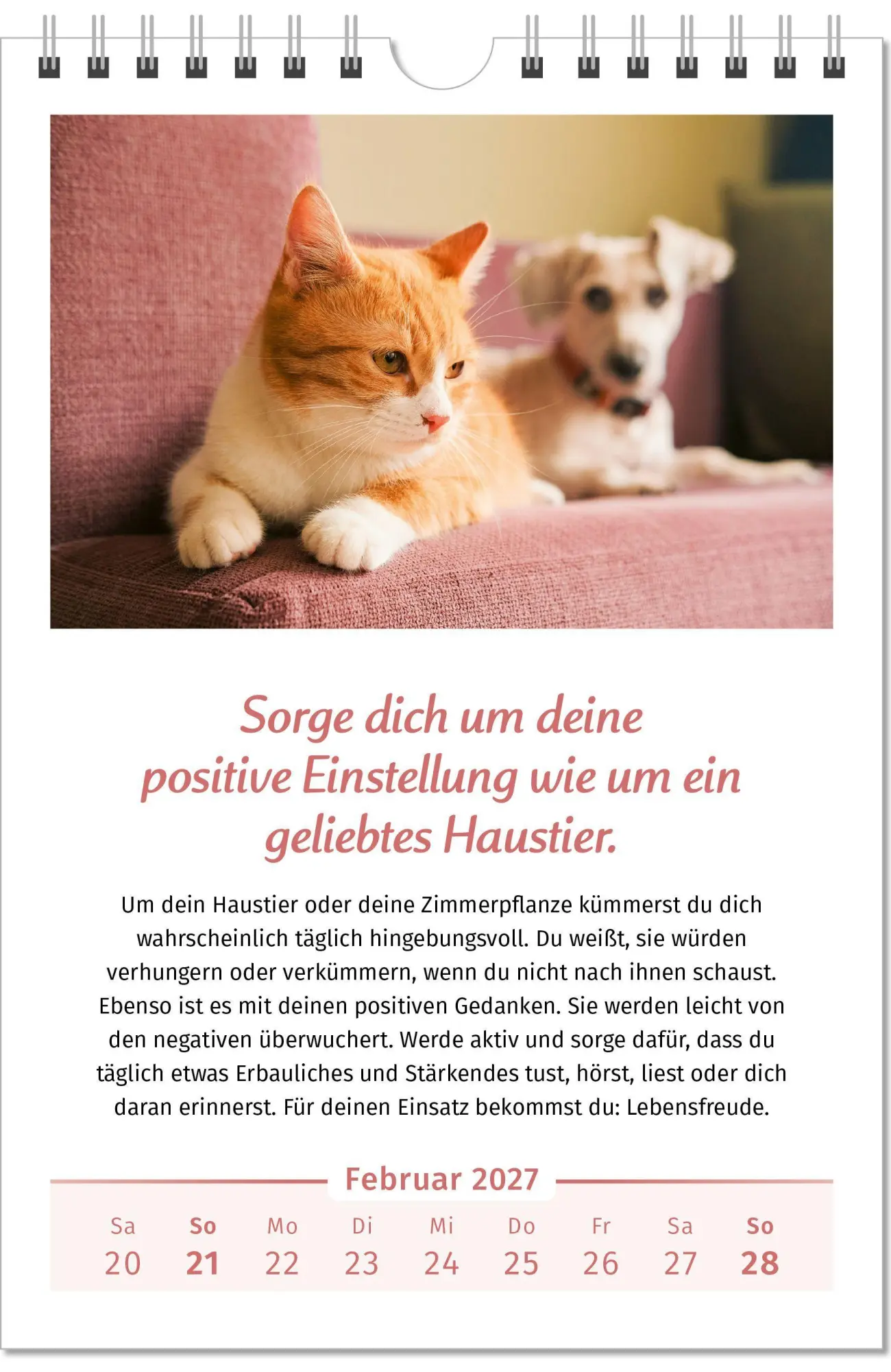 Bild: 9783910294479 | Der Lebensfreude-Kalender 2027 im Großformat | Doris Wolf (u. a.)