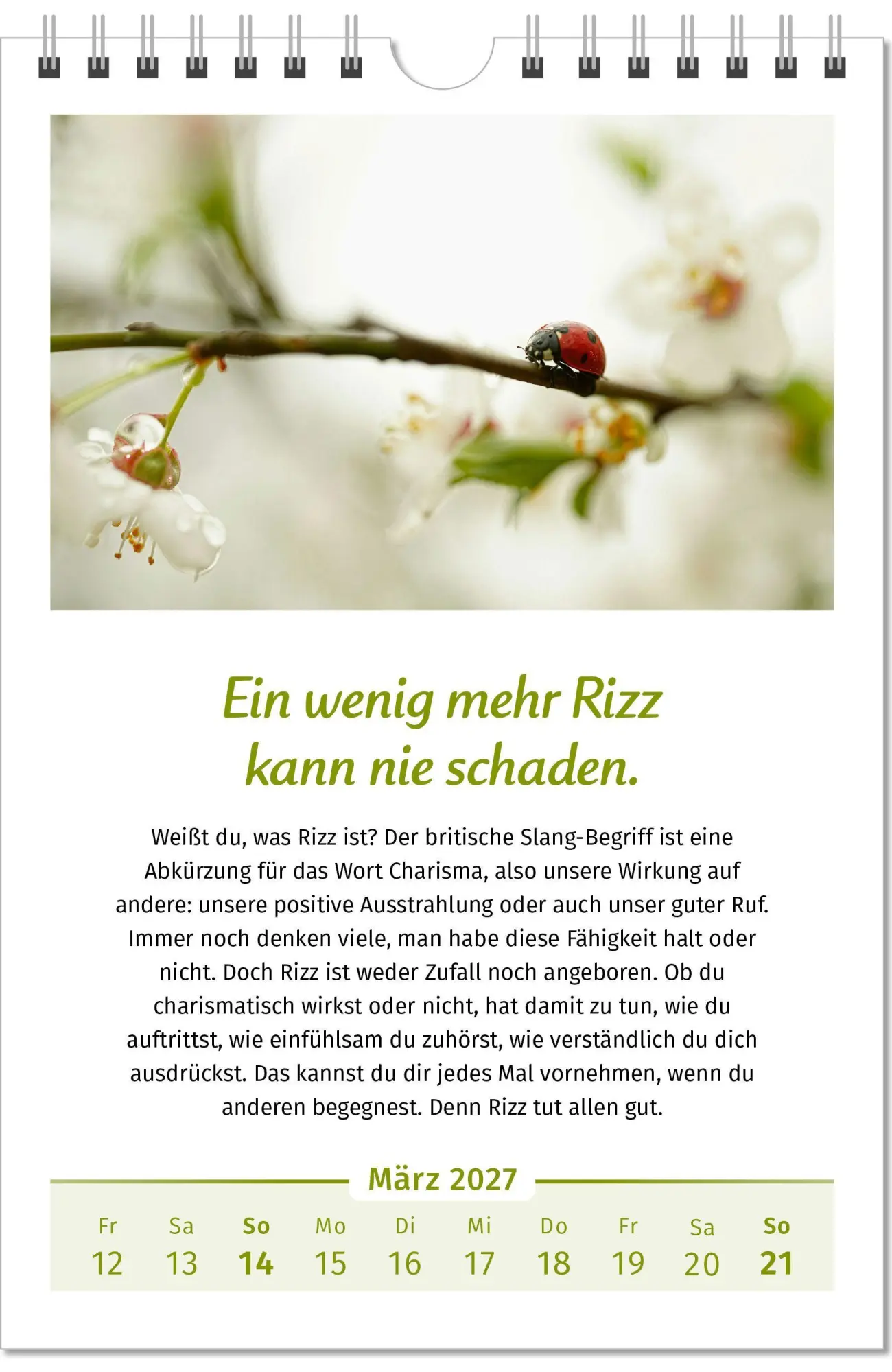 Bild: 9783910294479 | Der Lebensfreude-Kalender 2027 im Großformat | Doris Wolf (u. a.)