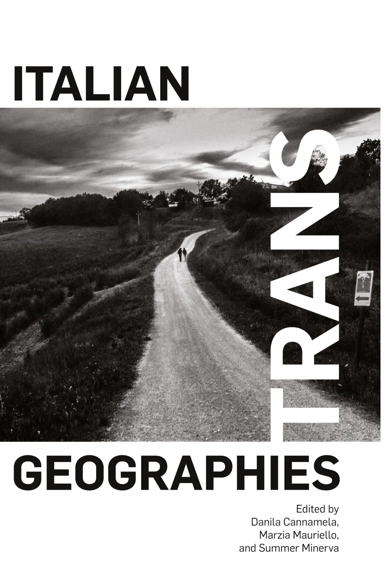 Cover: 9781438494579 | Italian Trans Geographies | Danila Cannamela (u. a.) | Taschenbuch