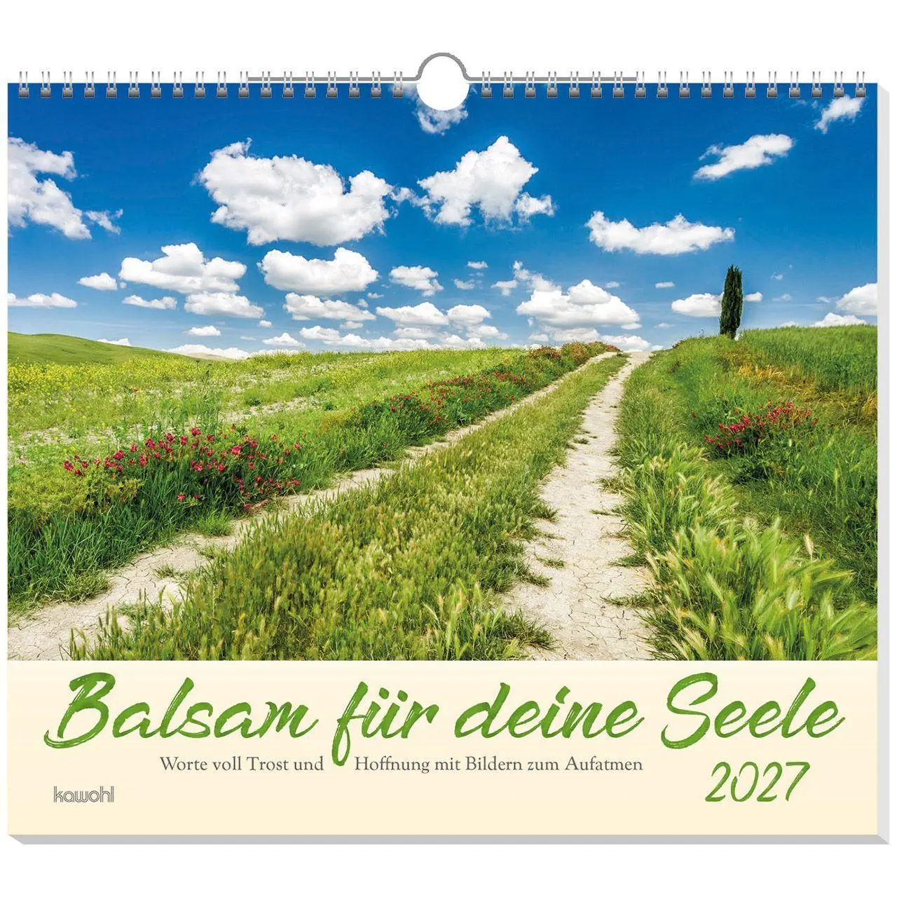 Cover: 9783754864579 | Balsam für deine Seele 2027 | Kalender | Spiralbindung | 14 S. | 2027