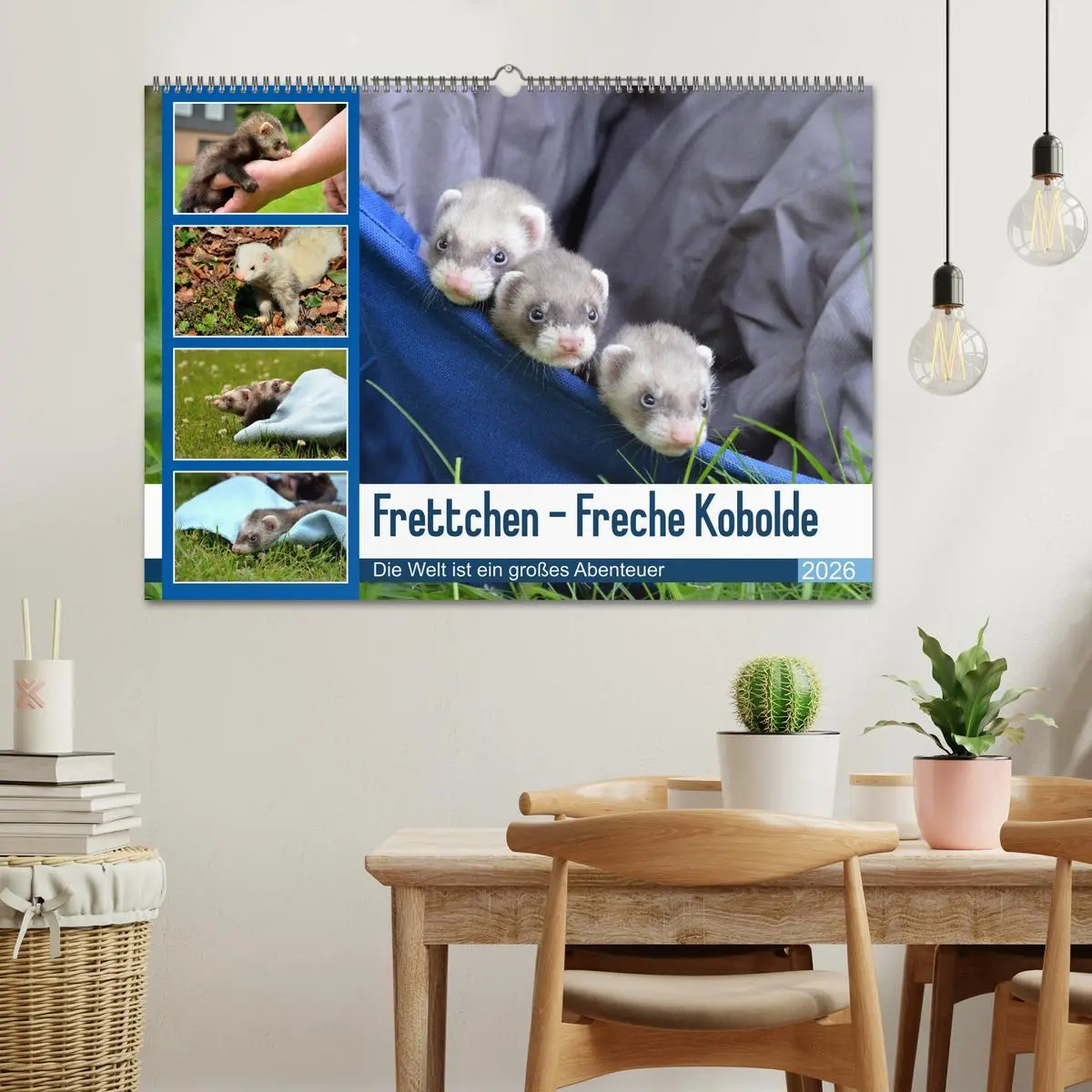 Bild: 9783516634679 | Frettchen - Freche Kobolde (Wandkalender 2026 DIN A2 quer),...