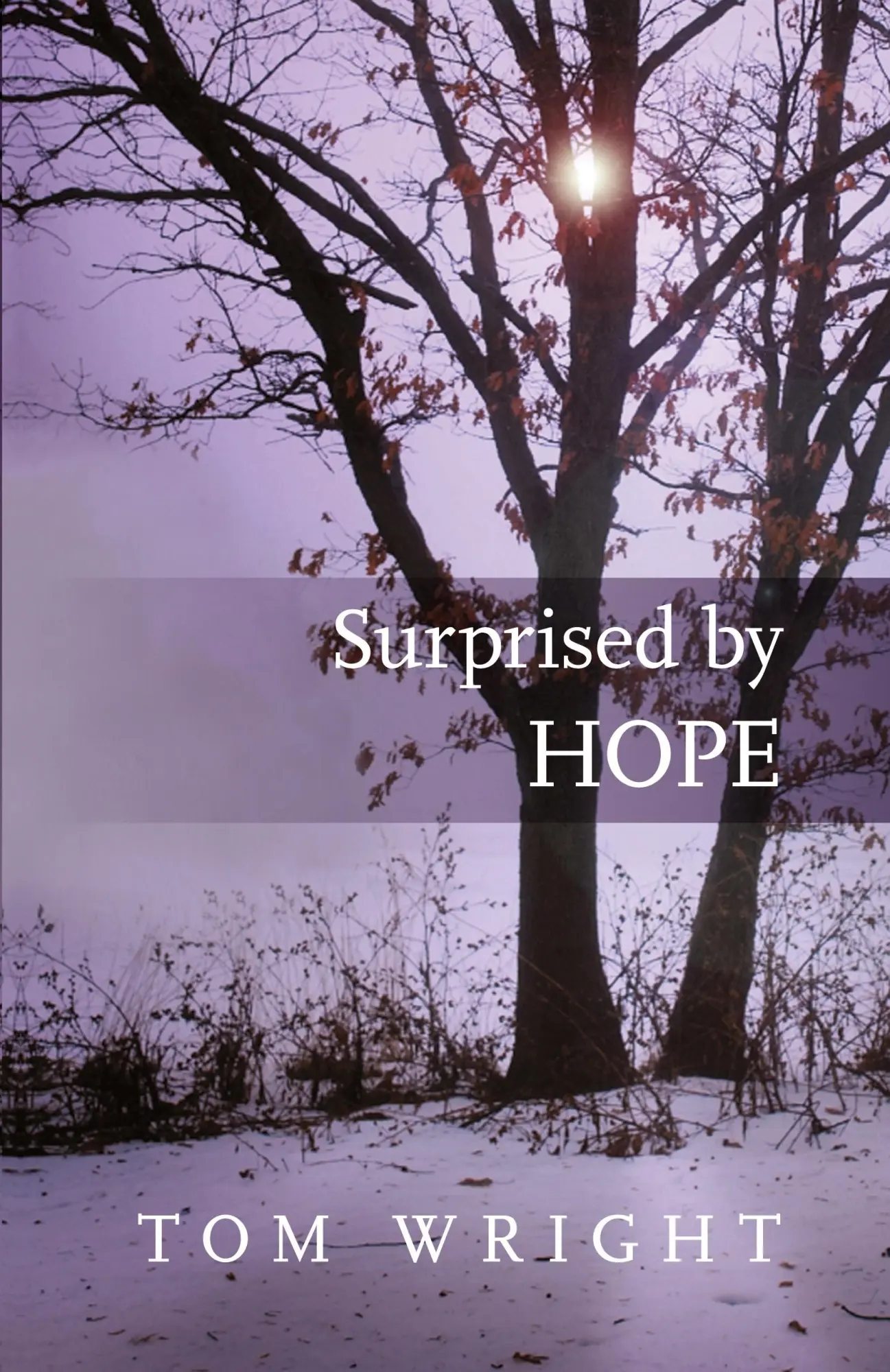 Cover: 9780281064779 | Surprised by Hope | Original, Provocative And Practical | Tom Wright