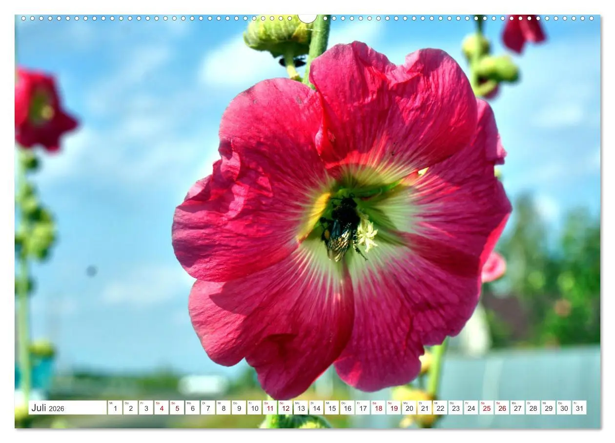 Bild: 9783457604779 | Dorfidylle - Landleben in Russland (Wandkalender 2026 DIN A2 quer),...