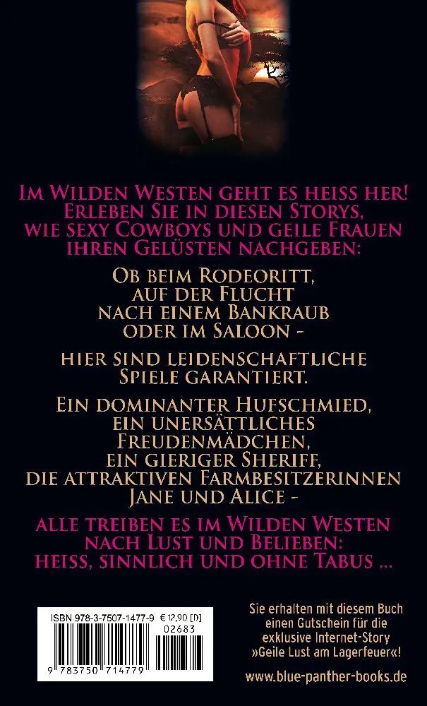 Bild: 9783750714779 | Der wilde, geile Westen Erotische Geschichten | Simona Wiles | Buch