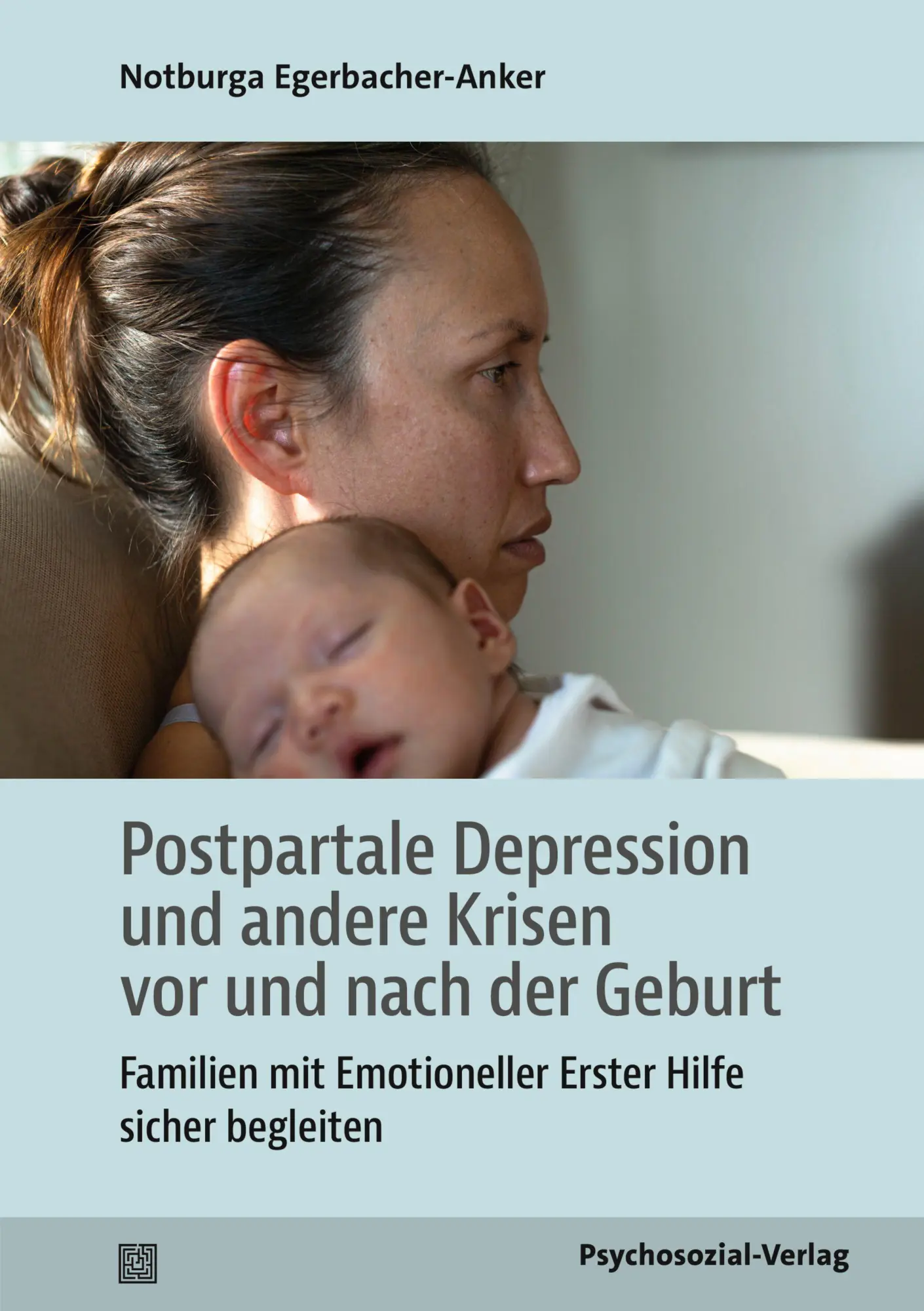 Cover: 9783837934779 | Postpartale Depression und andere Krisen vor und nach der Geburt