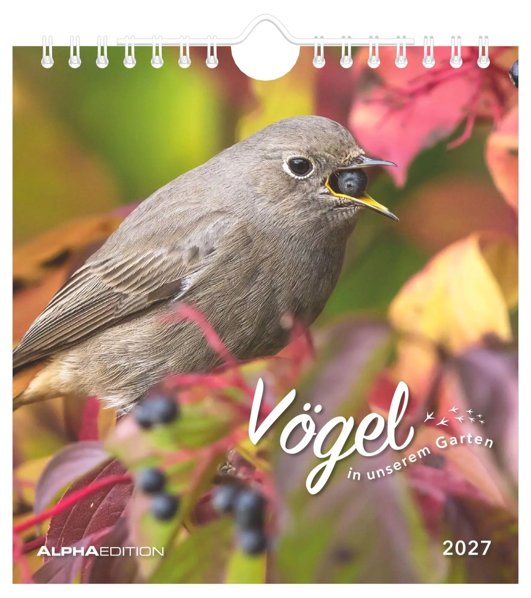 Cover: 4069095014879 | Vögel in unserem Garten 2027 | Kalender | 14 S. | Deutsch | 2027