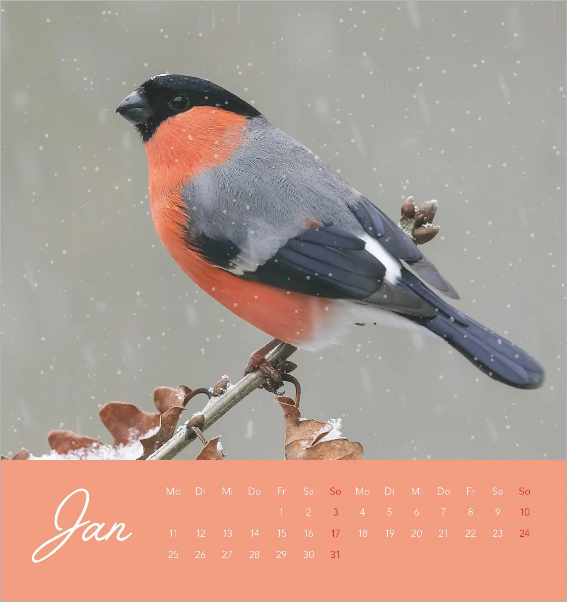 Bild: 4069095014879 | Vögel in unserem Garten 2027 | Kalender | 14 S. | Deutsch | 2027