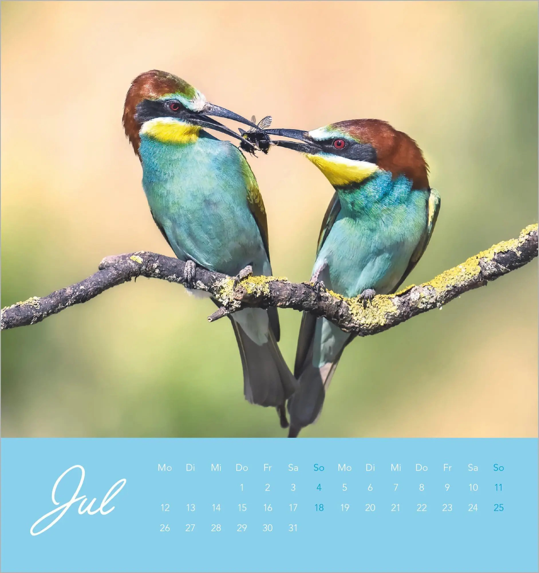 Bild: 4069095014879 | Vögel in unserem Garten 2027 | Kalender | 14 S. | Deutsch | 2027