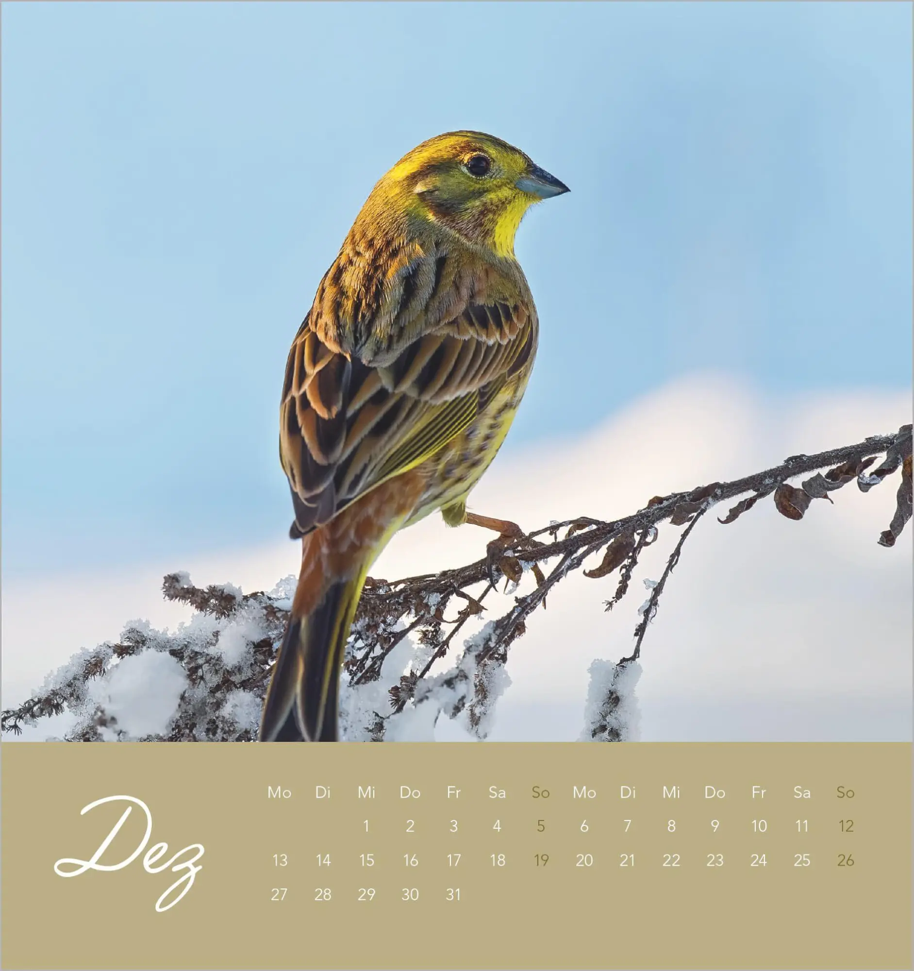 Bild: 4069095014879 | Vögel in unserem Garten 2027 | Kalender | 14 S. | Deutsch | 2027