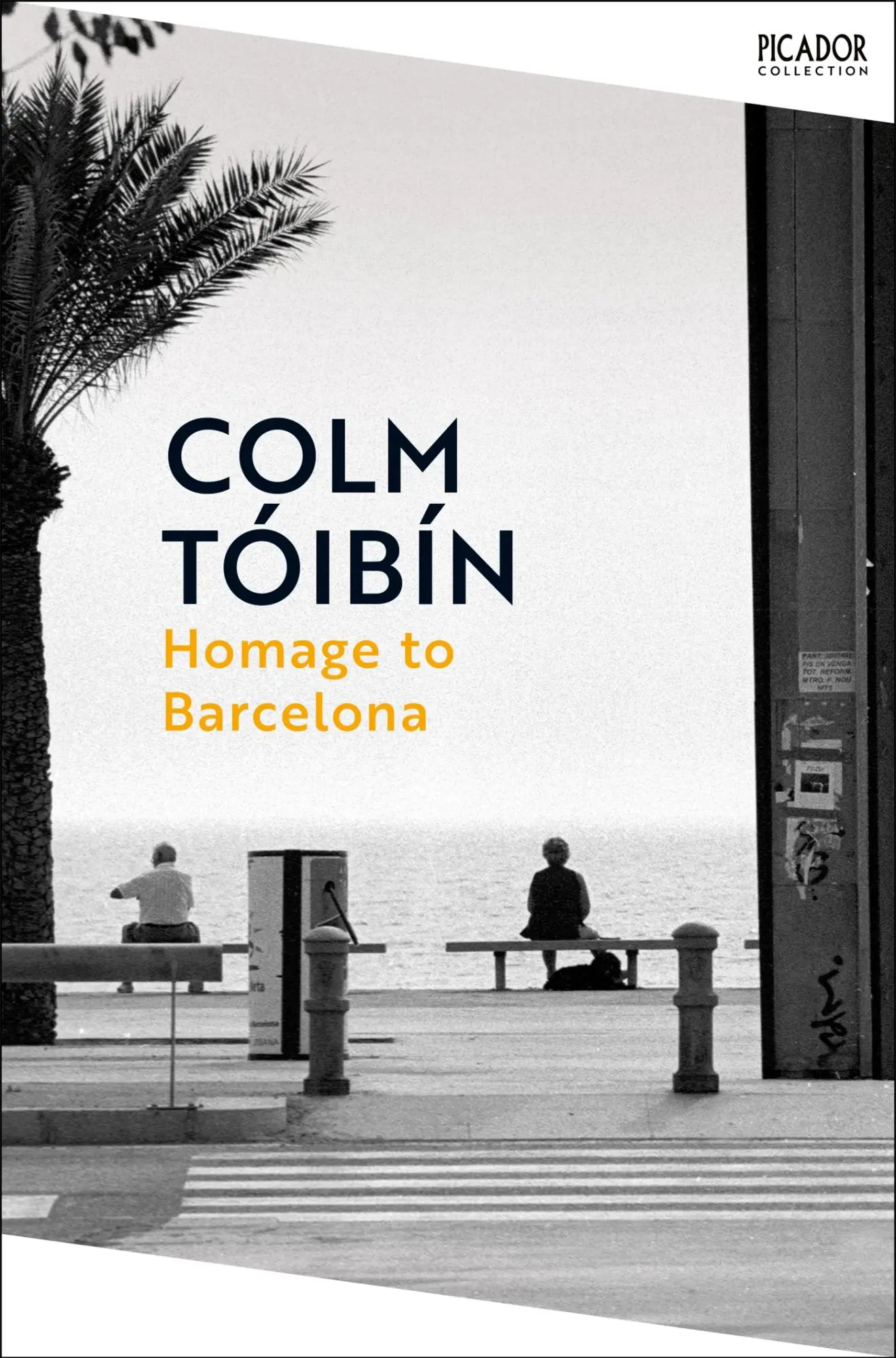 Cover: 9781035054879 | Homage to Barcelona | Colm Toibin | Taschenbuch | 240 S. | Englisch