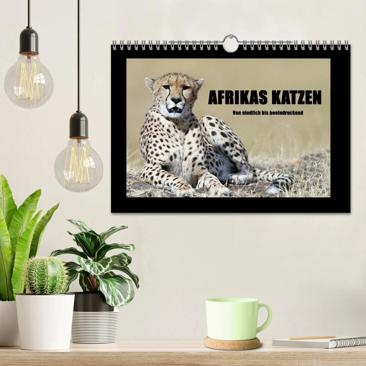 Bild: 9783516164879 | Afrikas Katzen (Wandkalender 2026 DIN A4 quer), CALVENDO...
