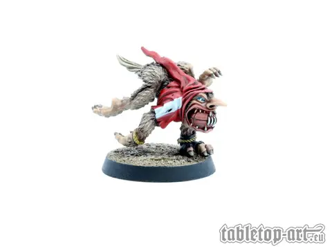 Cover: 704270724979 | Percht Catcher - Fantasy Football | Tabletop-Art | EAN 704270724979