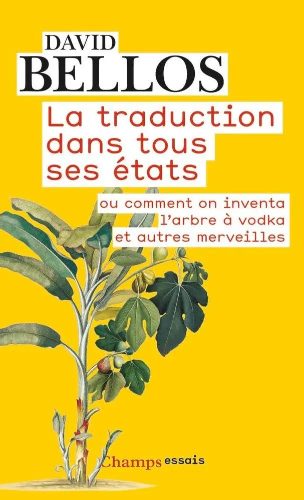 Cover: 9782081314979 | La traduction dans tous ses etats | David Bellos | Taschenbuch | 2018