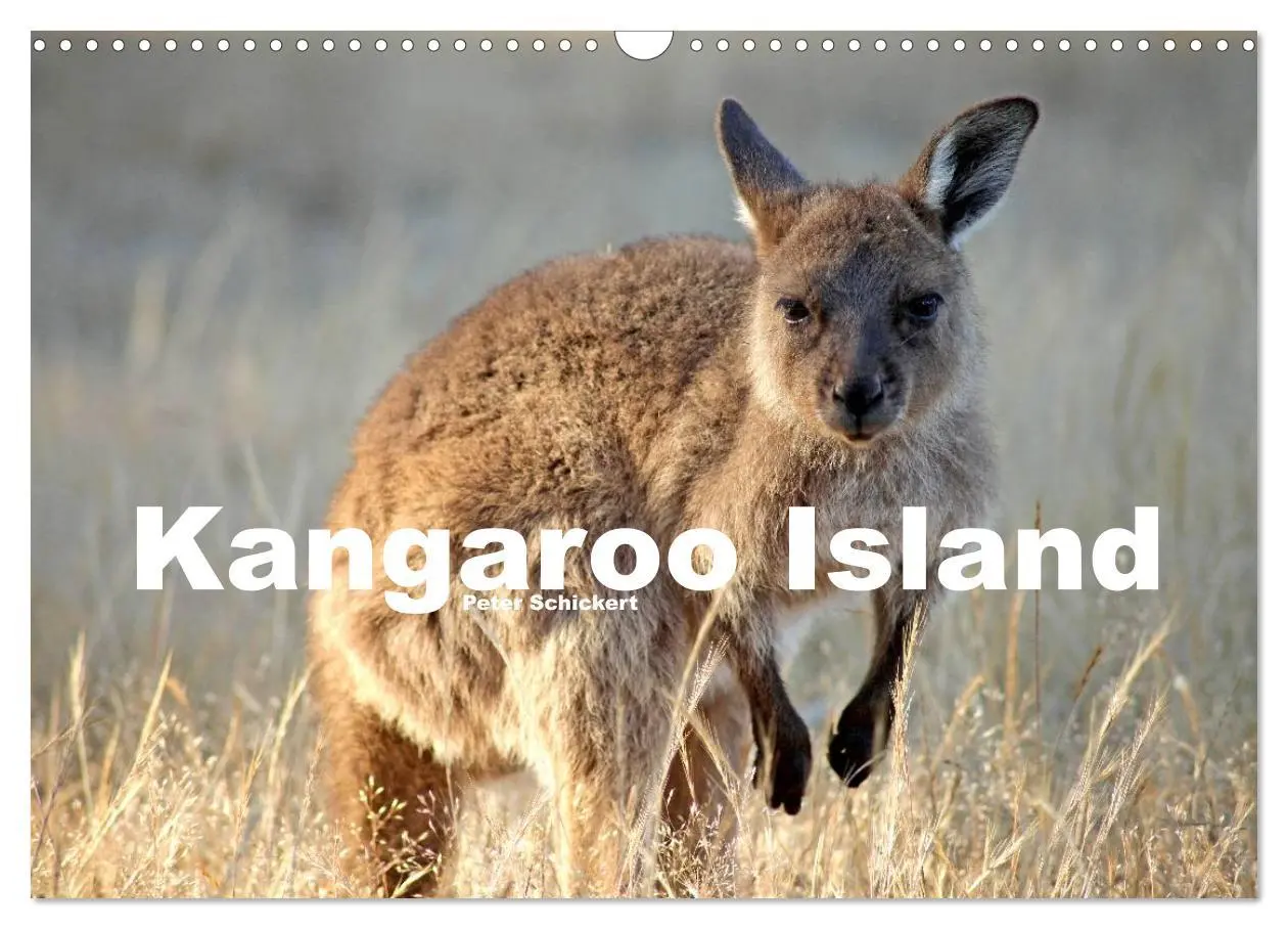 Cover: 9783516224979 | Kangaroo Island (Wandkalender 2026 DIN A3 quer), CALVENDO...