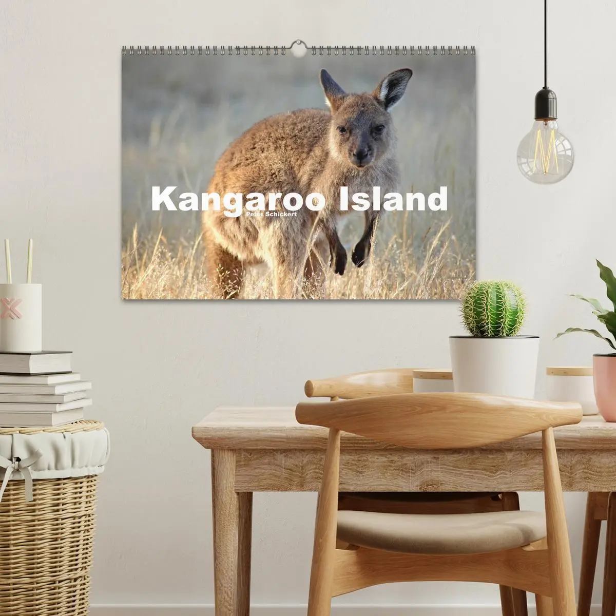 Bild: 9783516224979 | Kangaroo Island (Wandkalender 2026 DIN A3 quer), CALVENDO...
