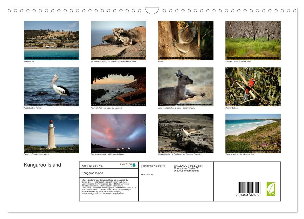Bild: 9783516224979 | Kangaroo Island (Wandkalender 2026 DIN A3 quer), CALVENDO...