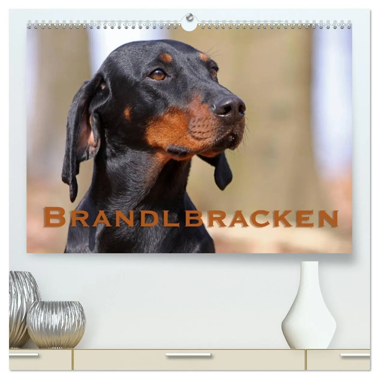 Cover: 9783516115079 | Brandlbracken (hochwertiger Premium Wandkalender 2026 DIN A2 quer),...