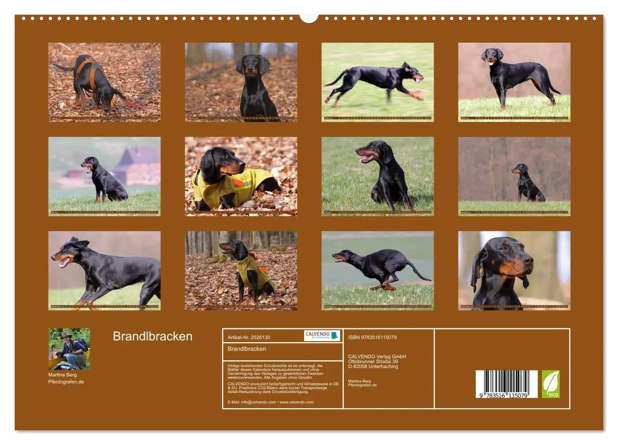 Bild: 9783516115079 | Brandlbracken (hochwertiger Premium Wandkalender 2026 DIN A2 quer),...