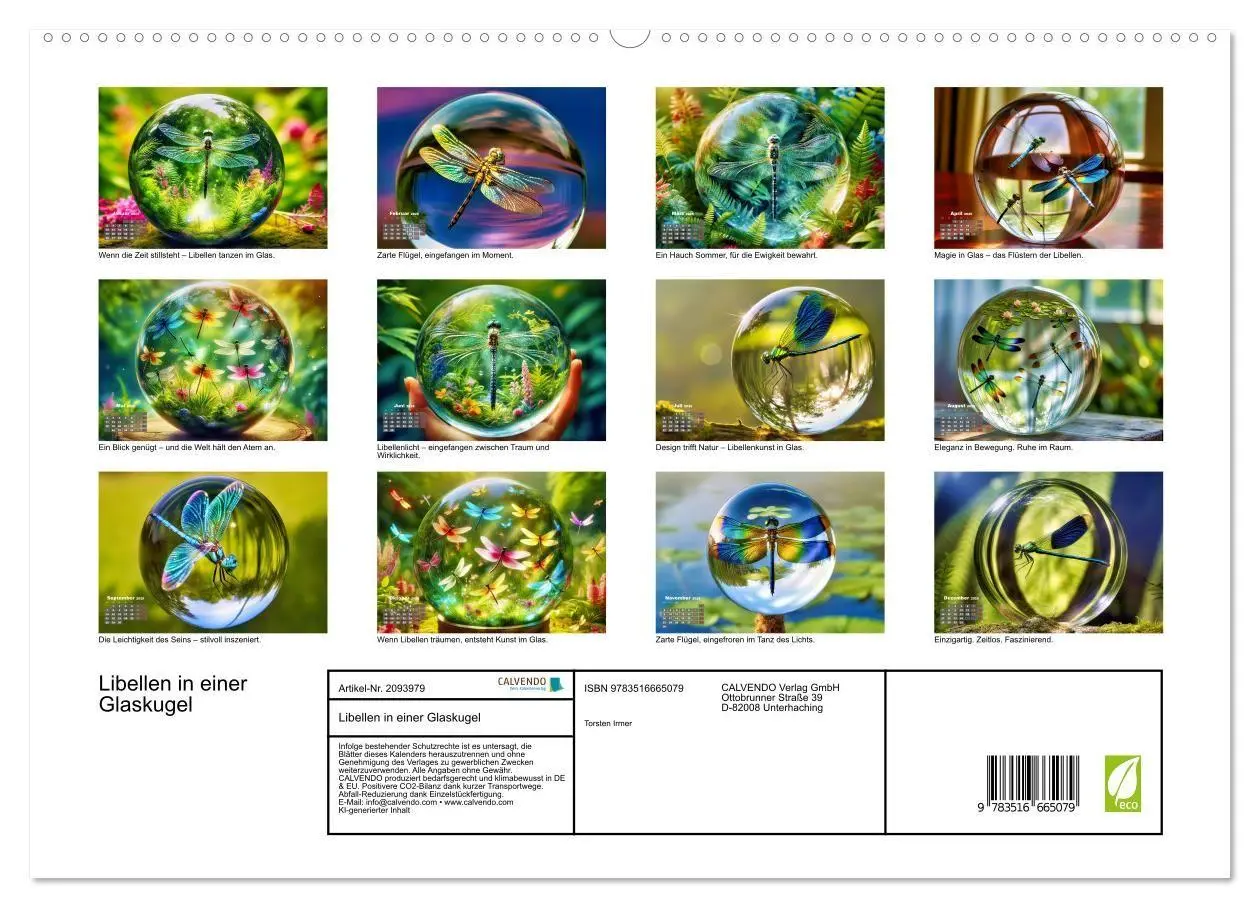 Bild: 9783516665079 | Libellen in einer Glaskugel (hochwertiger Premium Wandkalender 2026...