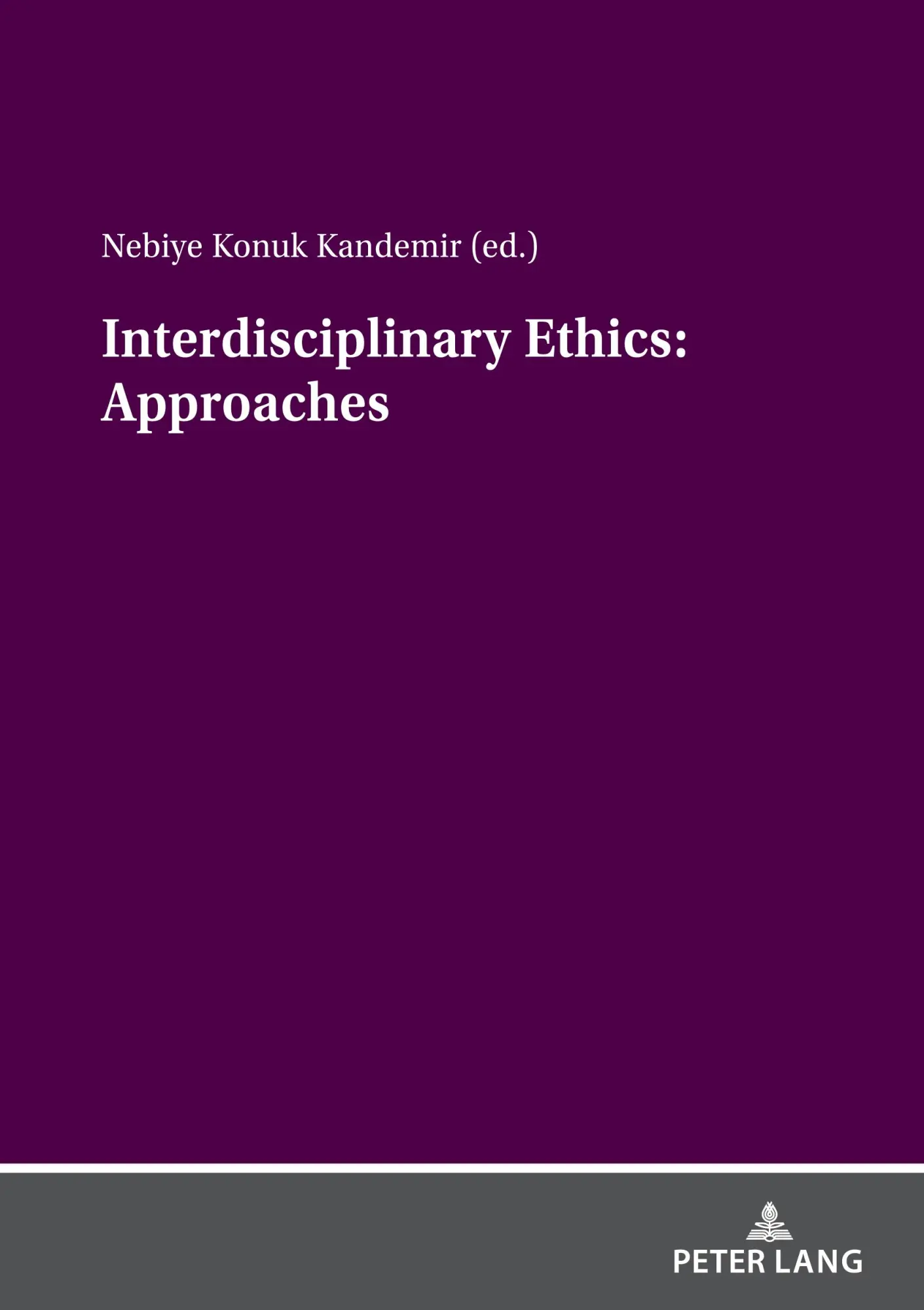 Interdisciplinary ethics Approaches Kartoniert (TB)