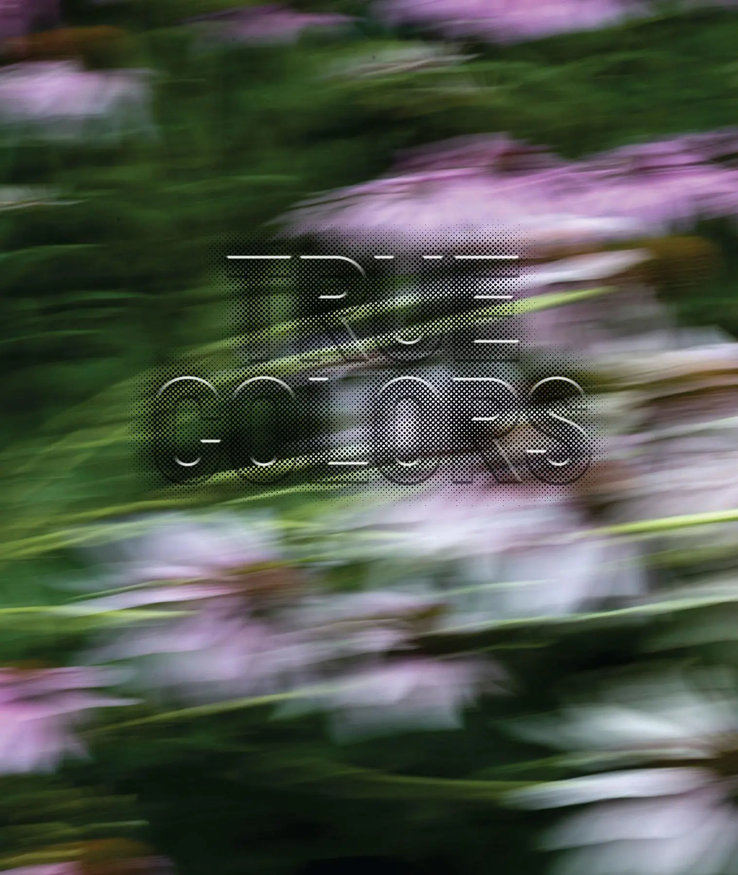 Cover: 9781597115179 | Zora J Murff: True Colors | (or, Affirmations in a Crisis) | Murff