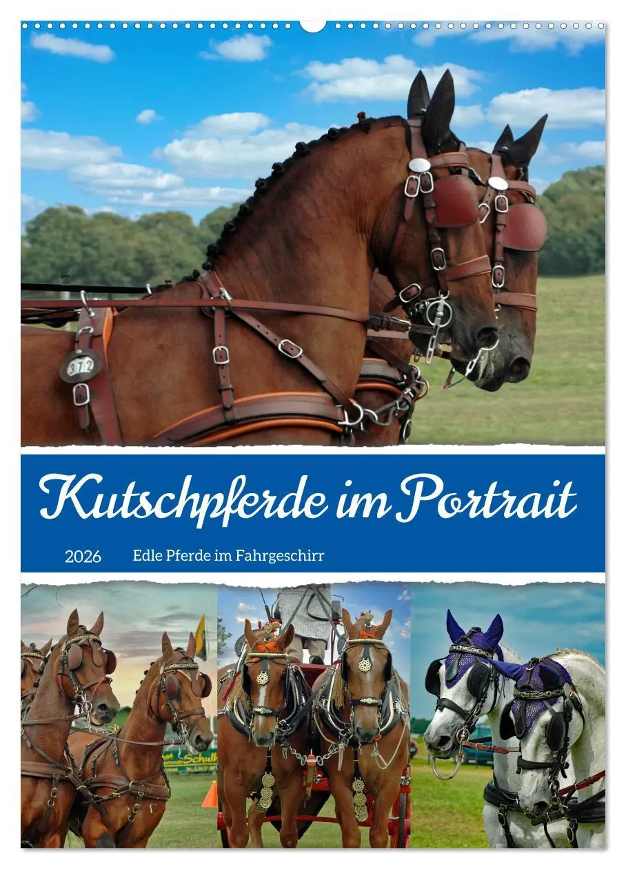 Cover: 9783516345179 | Kutschpferde im Portait (Wandkalender 2026 DIN A2 hoch), CALVENDO...