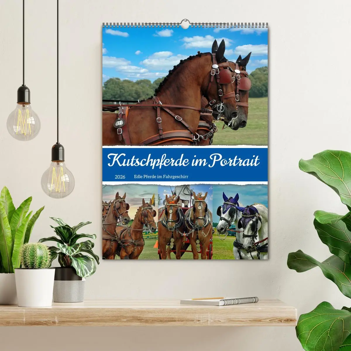 Bild: 9783516345179 | Kutschpferde im Portait (Wandkalender 2026 DIN A2 hoch), CALVENDO...