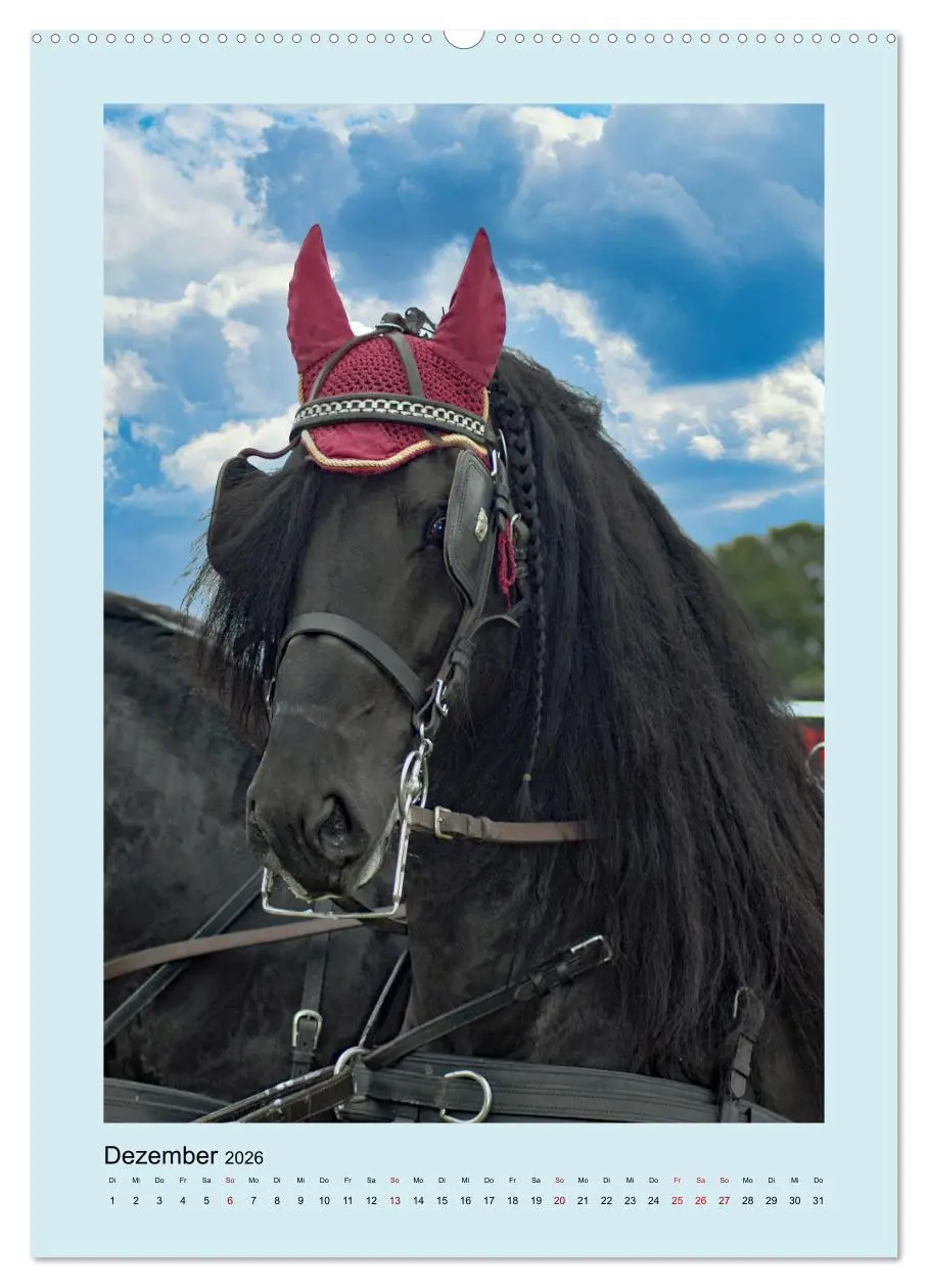 Bild: 9783516345179 | Kutschpferde im Portait (Wandkalender 2026 DIN A2 hoch), CALVENDO...