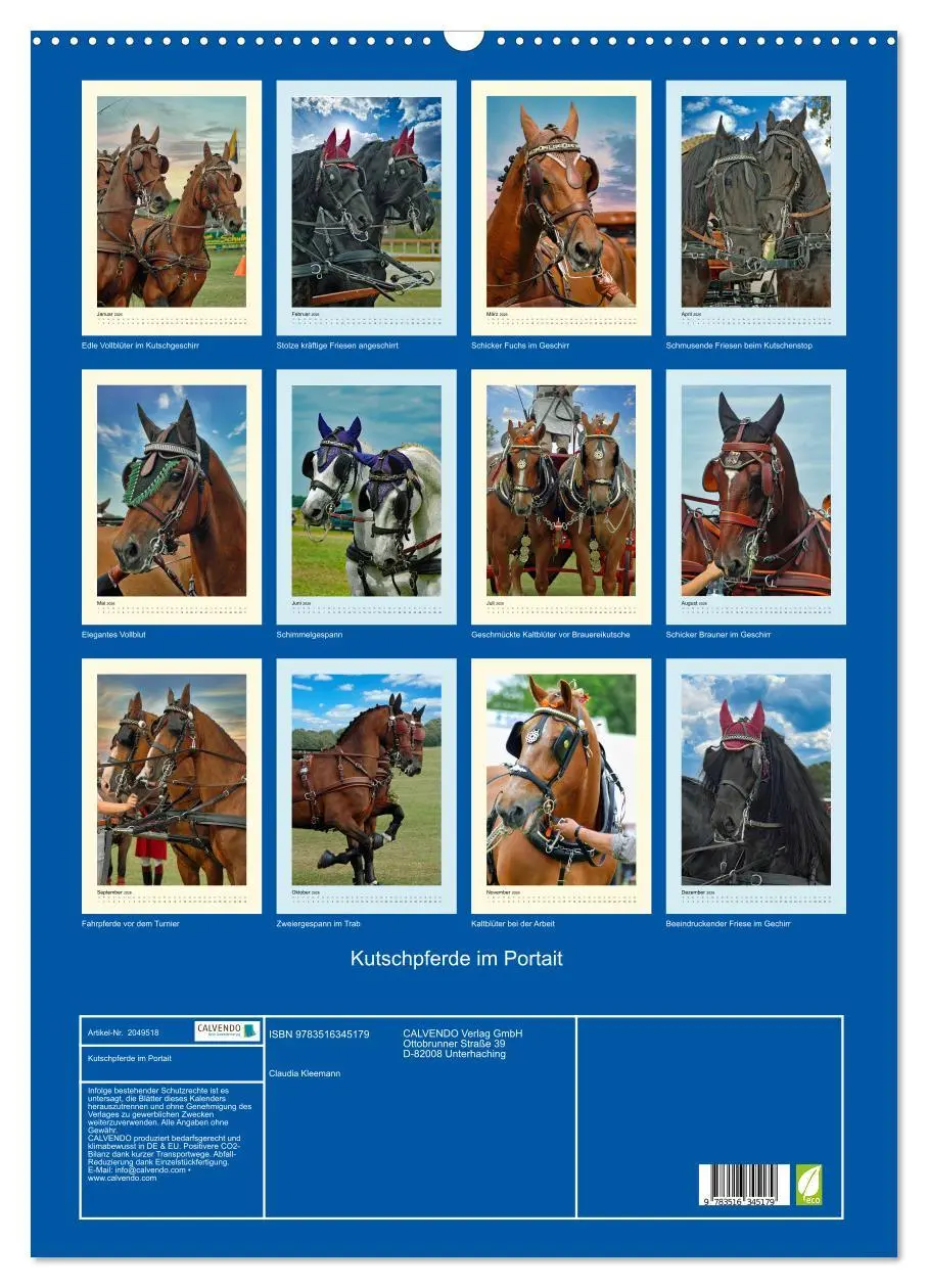 Bild: 9783516345179 | Kutschpferde im Portait (Wandkalender 2026 DIN A2 hoch), CALVENDO...