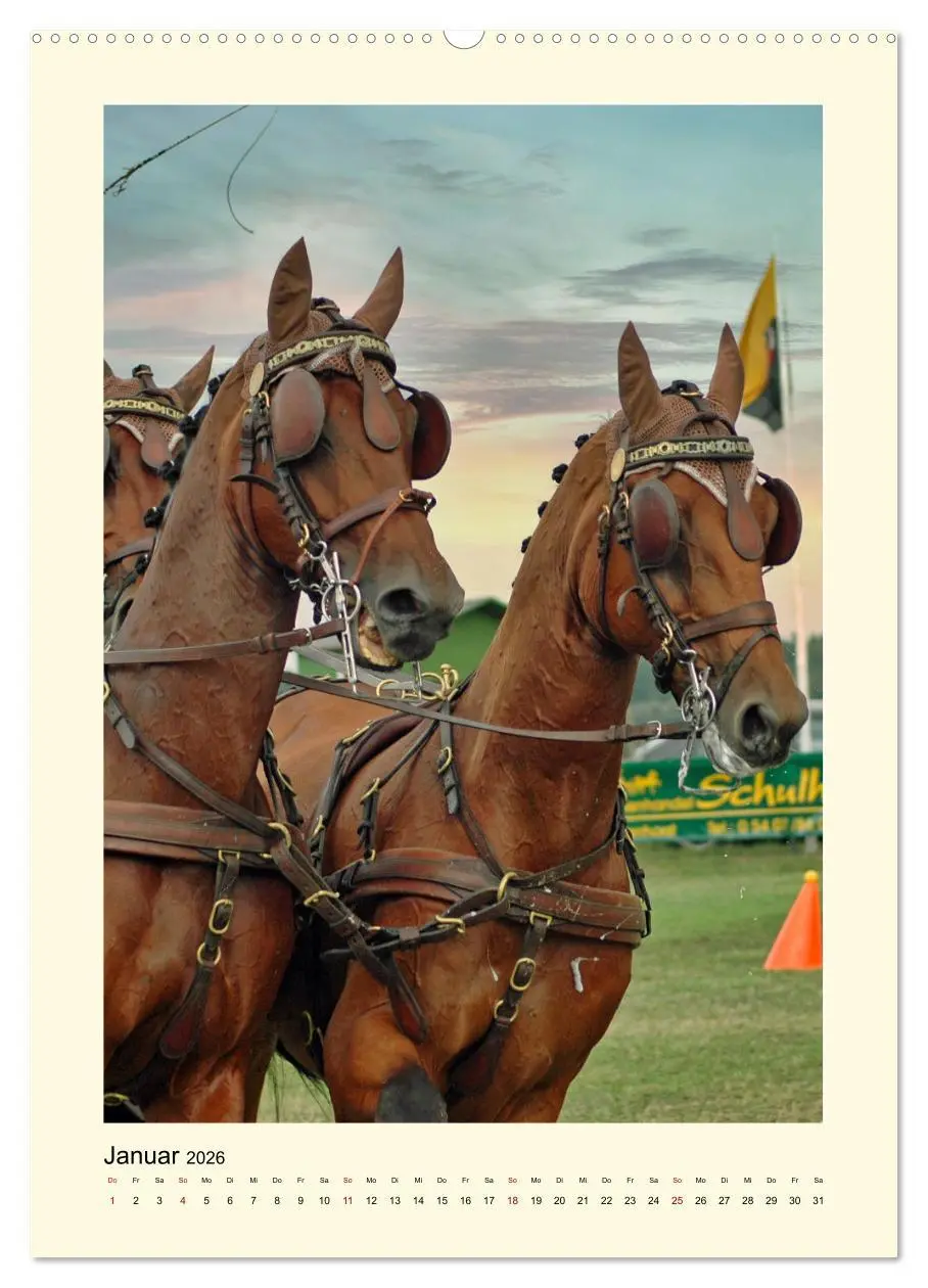 Bild: 9783516345179 | Kutschpferde im Portait (Wandkalender 2026 DIN A2 hoch), CALVENDO...