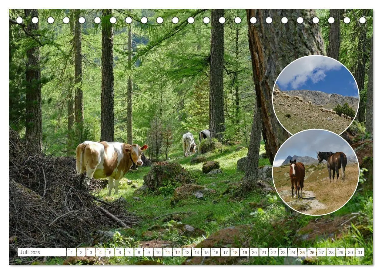 Bild: 9783516725179 | Weidetiere - Landschaftsgestalter seit Jahrhunderten (Tischkalender...