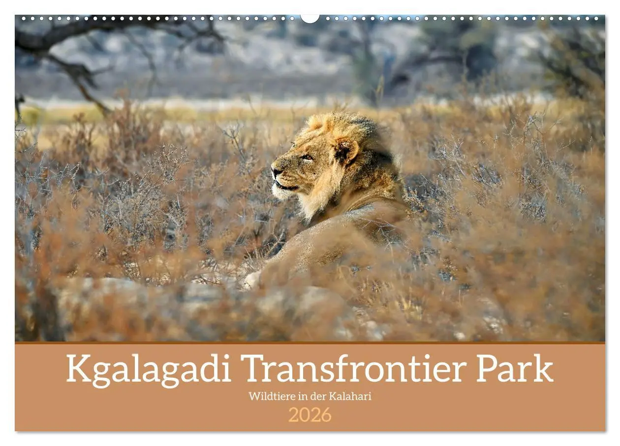 Cover: 9783457485279 | Kgalagadi - Fauna und Wildtiere in der Kalahari (Wandkalender 2026...