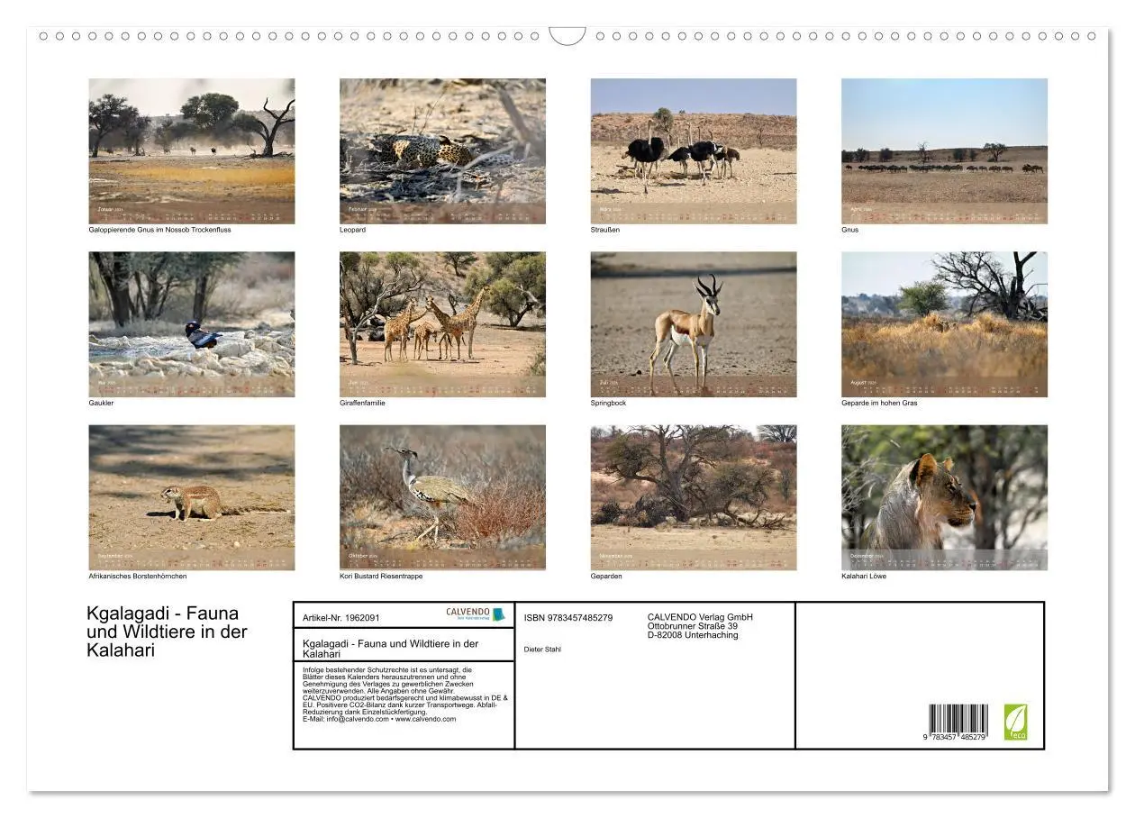 Bild: 9783457485279 | Kgalagadi - Fauna und Wildtiere in der Kalahari (Wandkalender 2026...