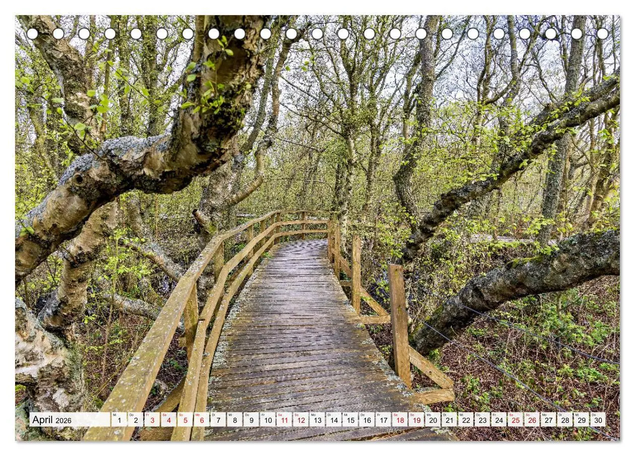 Bild: 9783457305379 | Inselbilder Amrum (Tischkalender 2026 DIN A5 quer), CALVENDO...