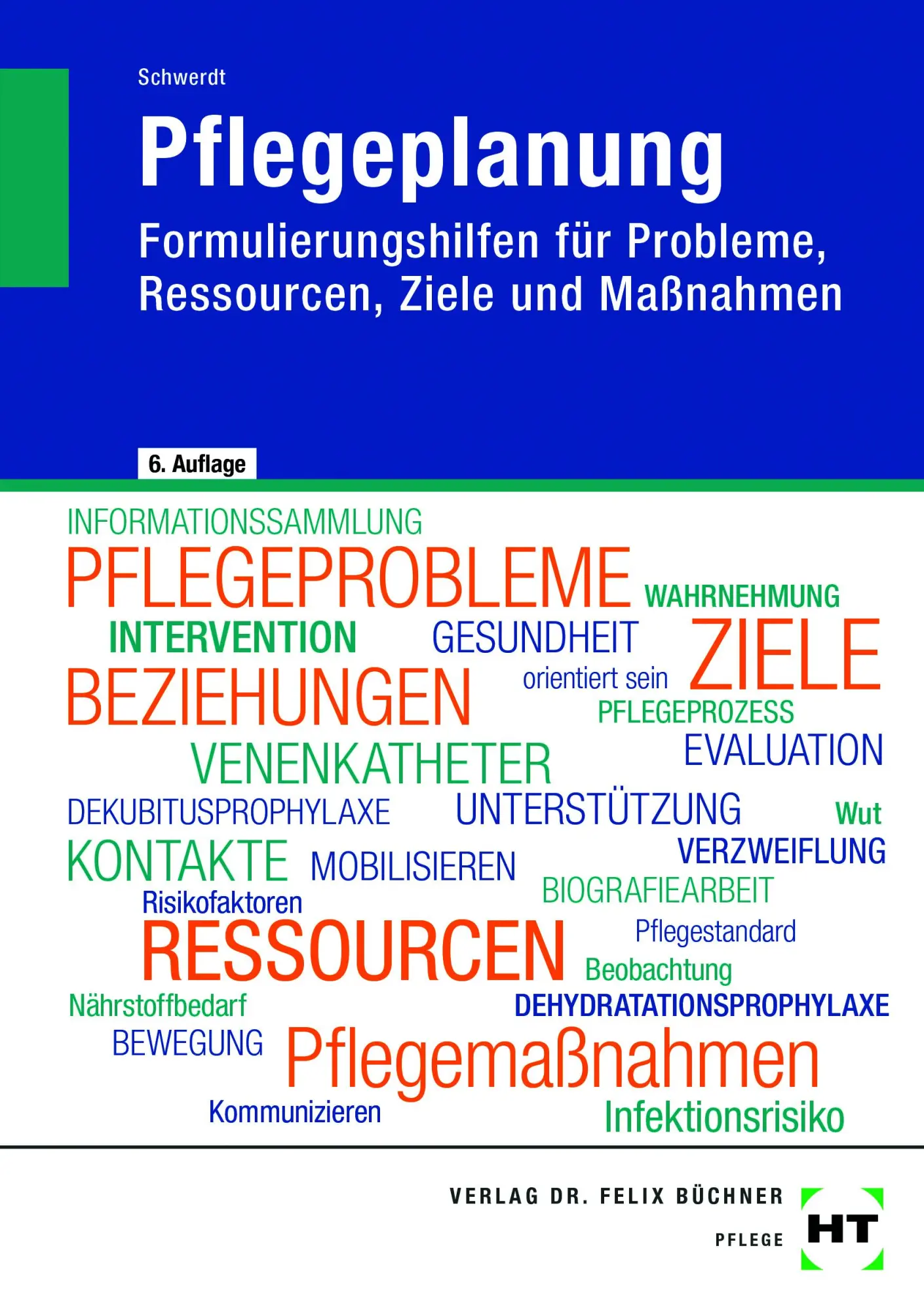 Cover: 9783582665379 | Pflegeplanung | Christine Schwerdt | Taschenbuch | 320 S. | Deutsch