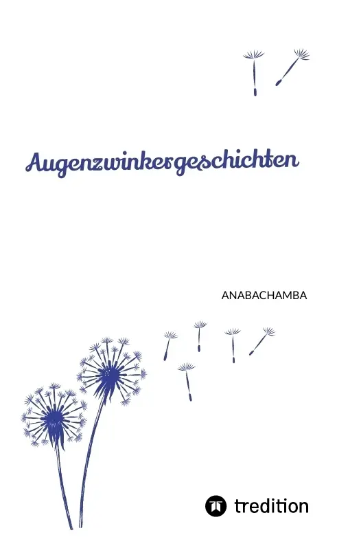 Cover: 9783384655479 | Augenzwinkergeschichten | Anabachamba | Taschenbuch | Deutsch