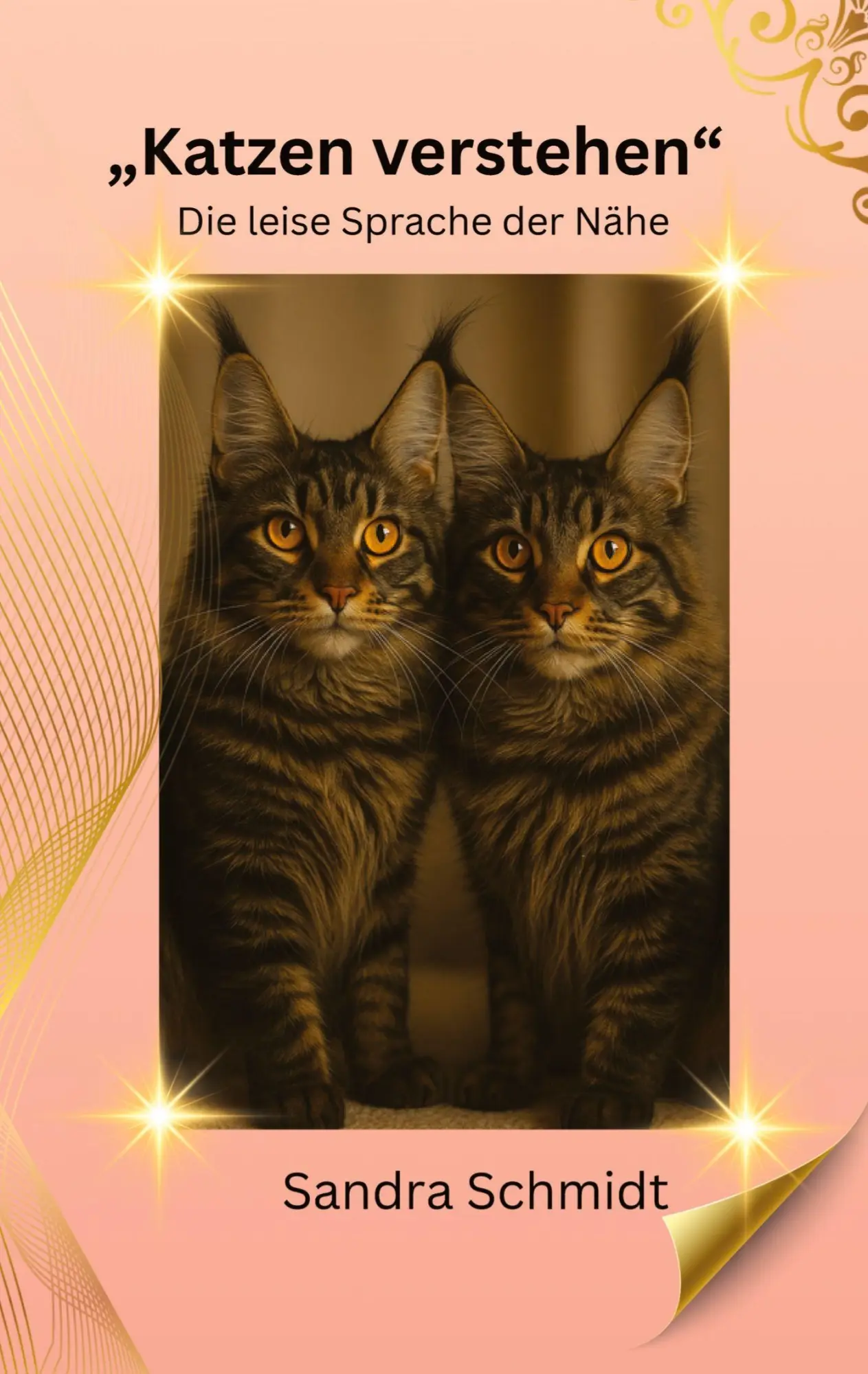 Cover: 9783384725479 | Katzen verstehen | Die leise Sprache der Nähe | Sandra Schmidt | Buch