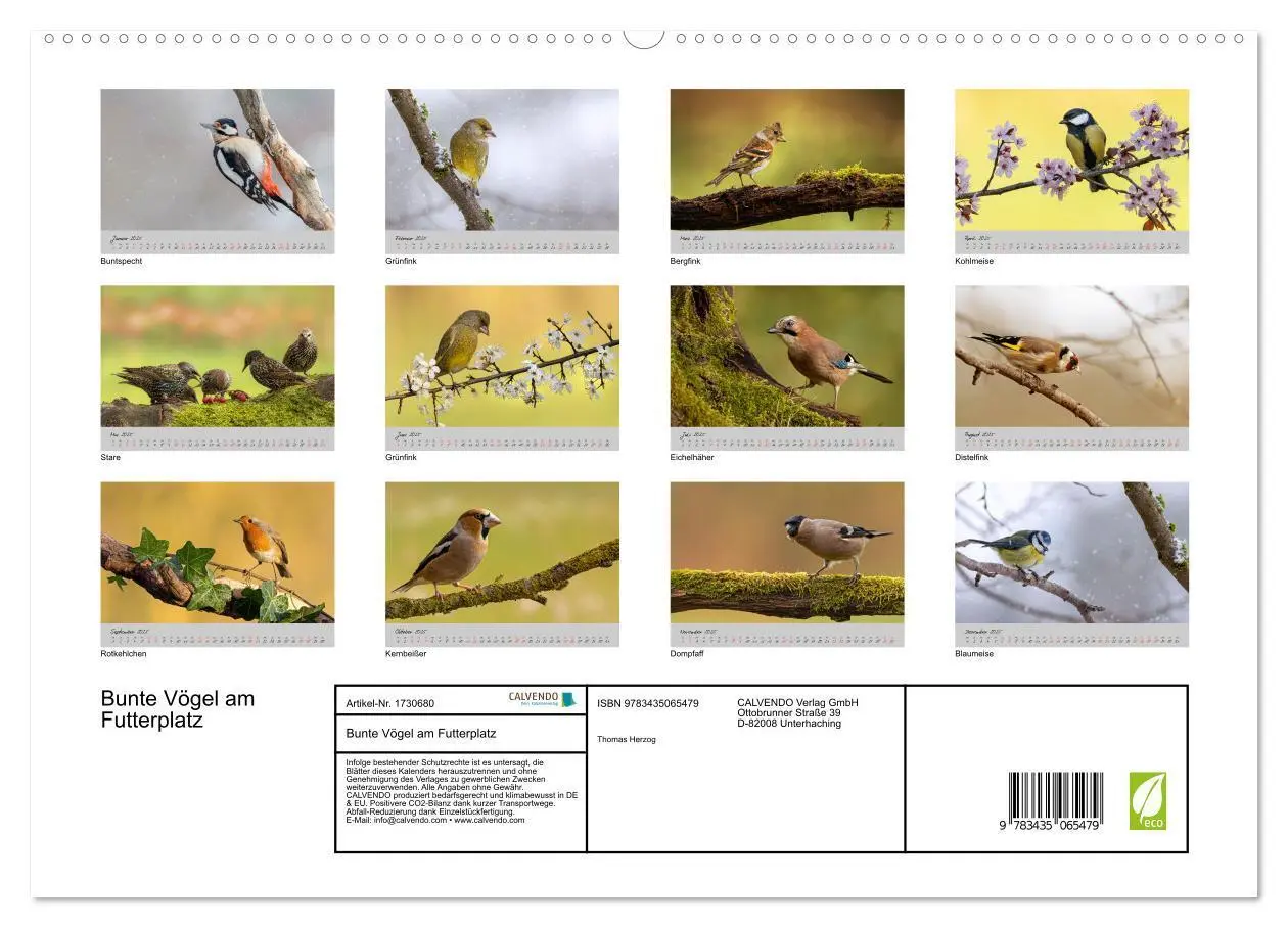 Bild: 9783435065479 | Bunte Vögel am Futterplatz (Wandkalender 2025 DIN A2 quer),...