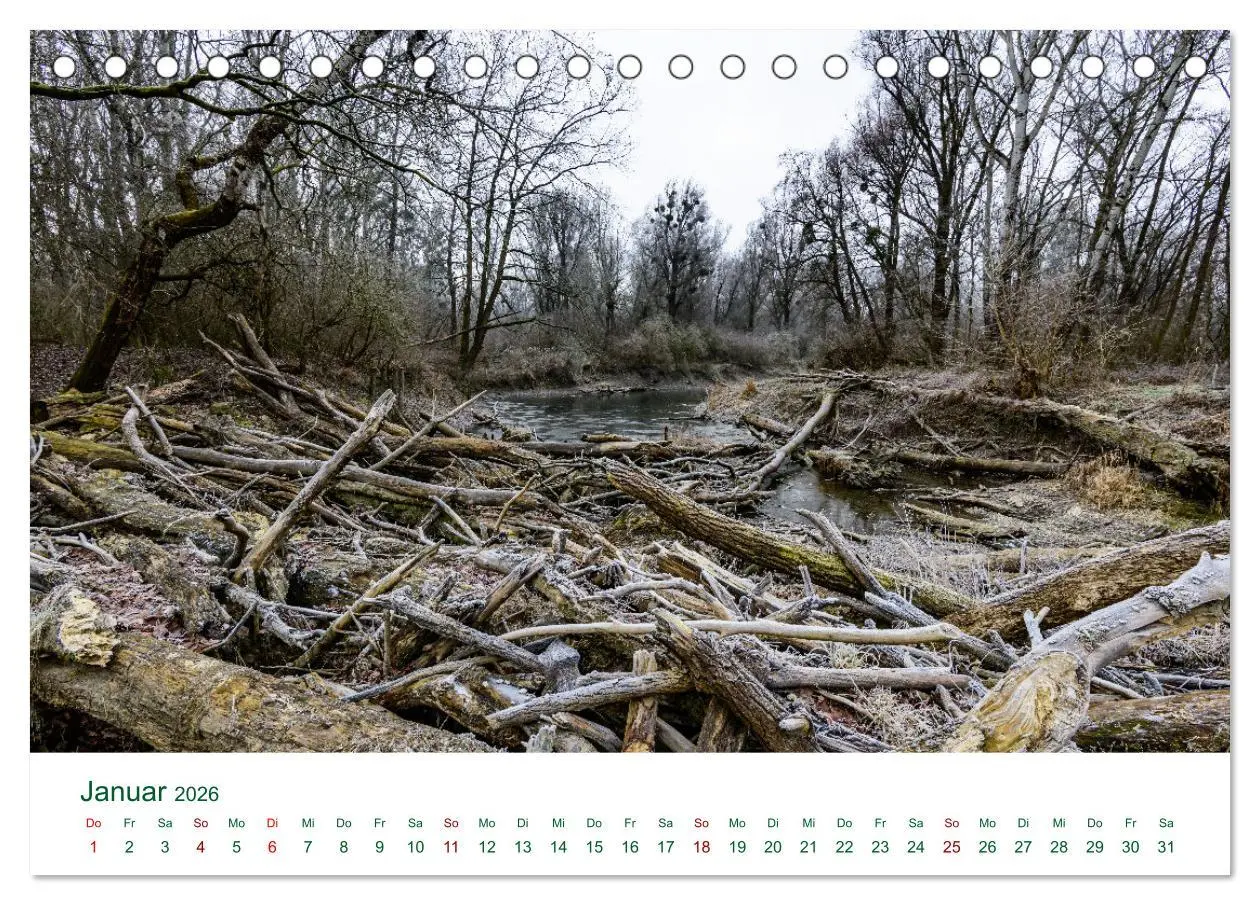 Bild: 9783457605479 | Österreichs Donau (Tischkalender 2026 DIN A5 quer), CALVENDO...
