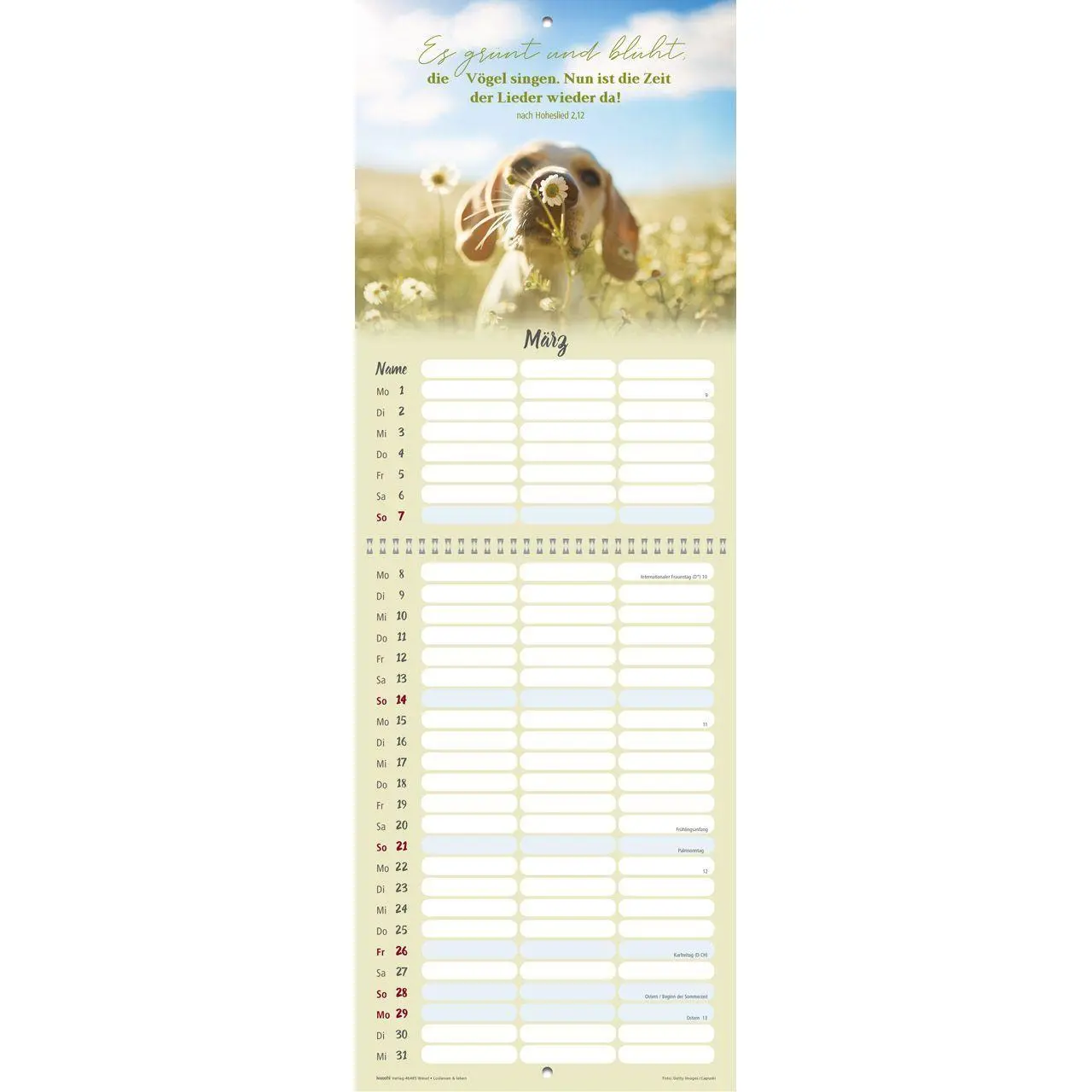 Bild: 9783754845479 | Loslassen &amp; leben 2027 | Termin-Kalender mit Bibelwort-Herzstücken
