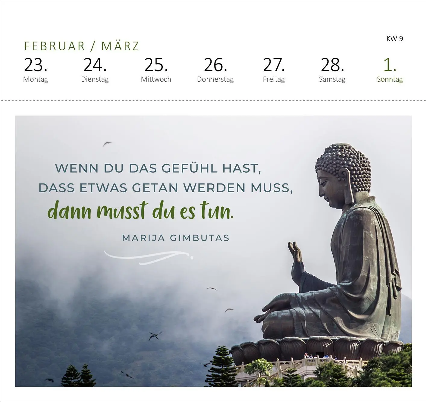 Bild: 4014489135579 | Postkartenkalender 365 Tage Innere Stärke 2026 | Kalender | 108 S.