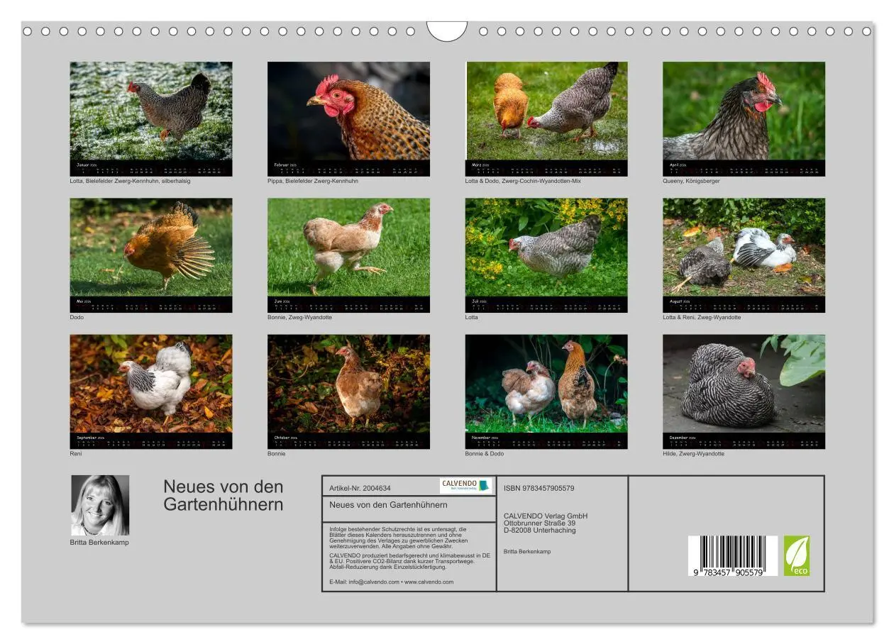 Bild: 9783457905579 | Neues von den Gartenhühnern (Wandkalender 2026 DIN A3 quer),...