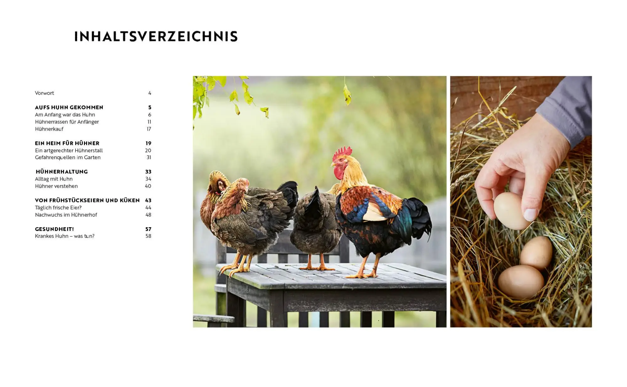 Bild: 9783745925579 | Gartenmomente: Hühner | Jakob Eggenhofer | Buch | 64 S. | Deutsch