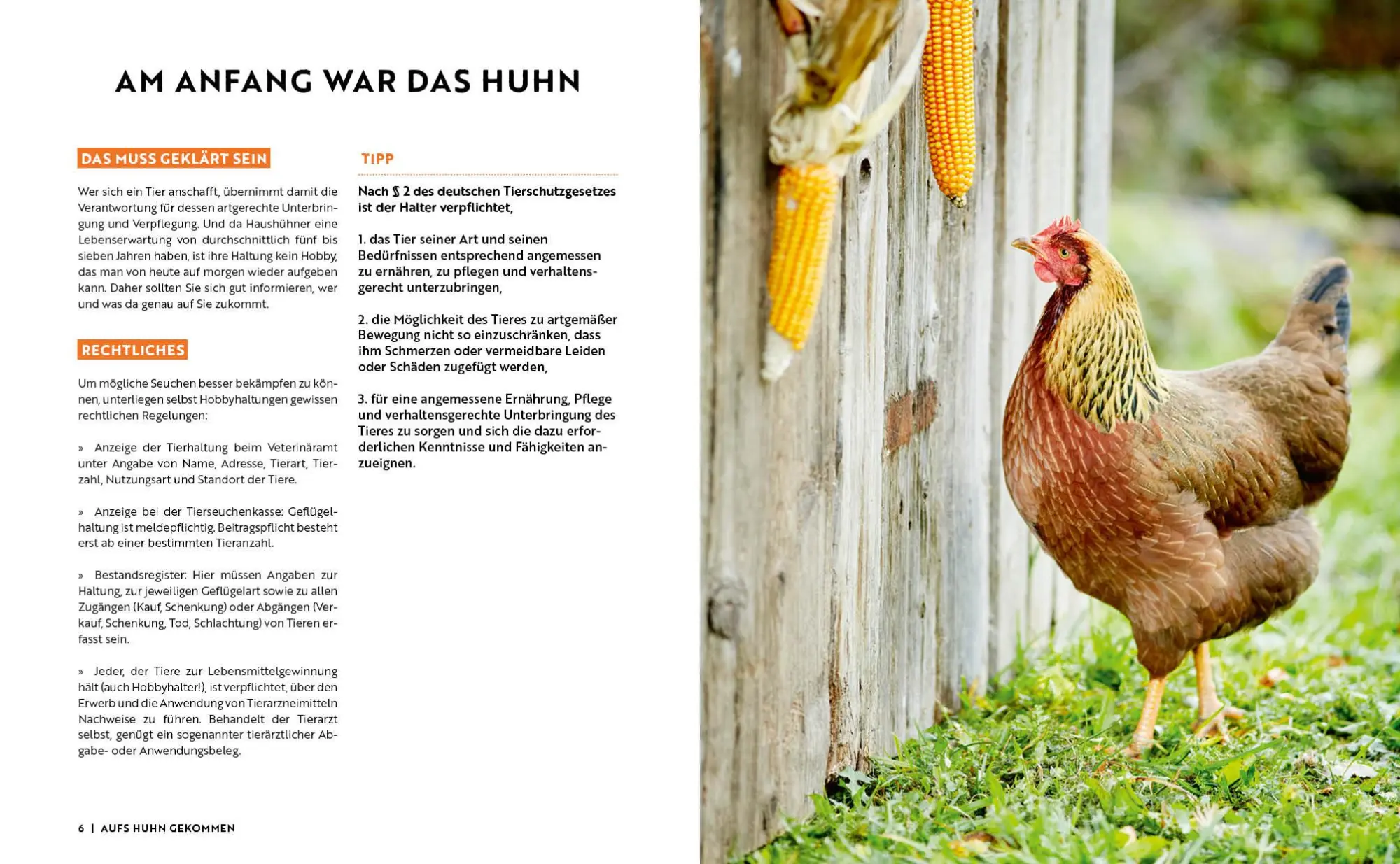 Bild: 9783745925579 | Gartenmomente: Hühner | Jakob Eggenhofer | Buch | 64 S. | Deutsch